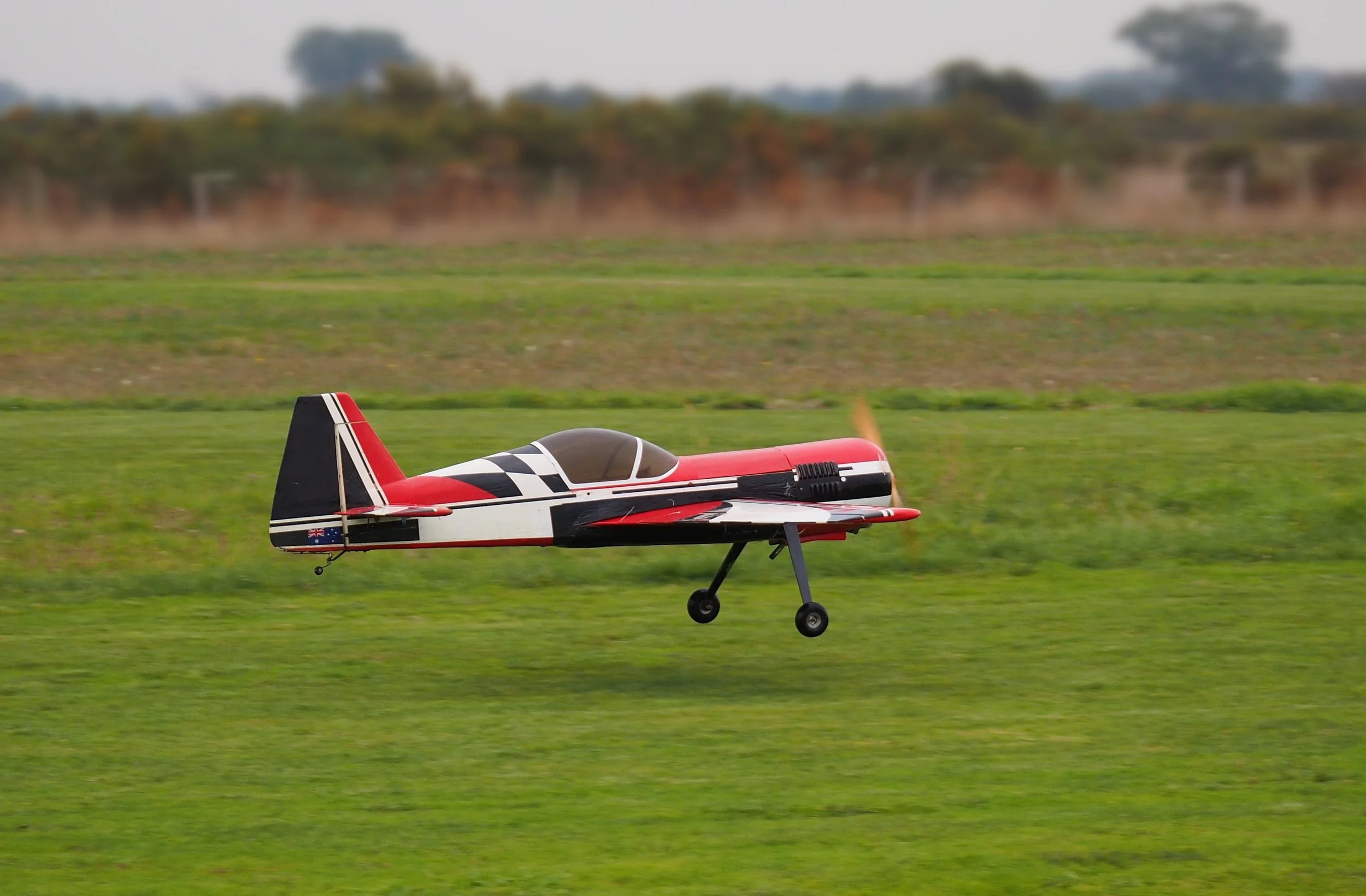 P5170103.jpg