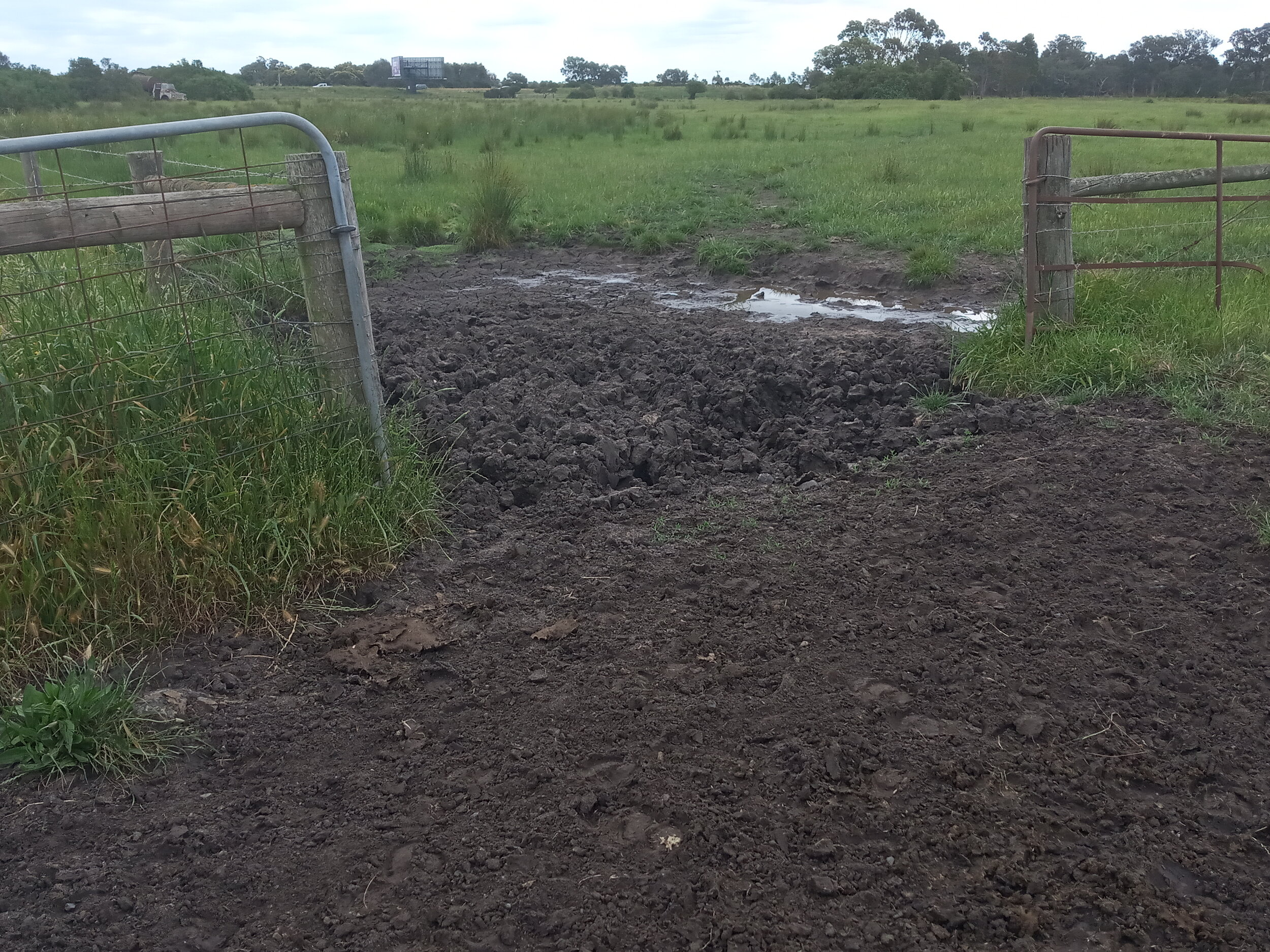  12/11  The farmer (Wes) to the north uses this entrance beside our Gate 2 to get his cattle to MX MX allows him to graze cattle free of charge  This gate must be kept closed at all times 