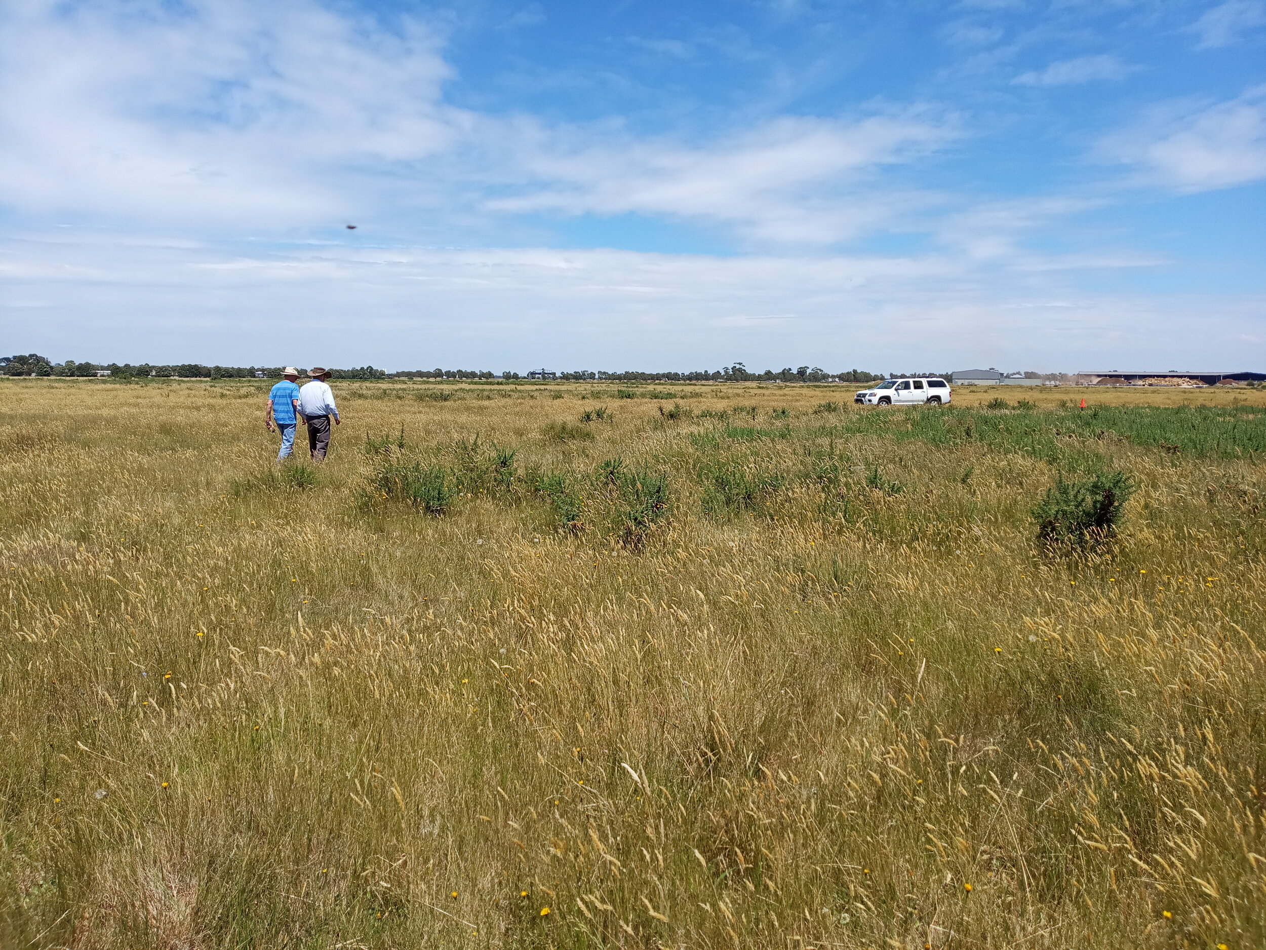  15/12  Rod C, and David W head back after again securing the runway markers  The marker shown is at the west end of the EW runway 