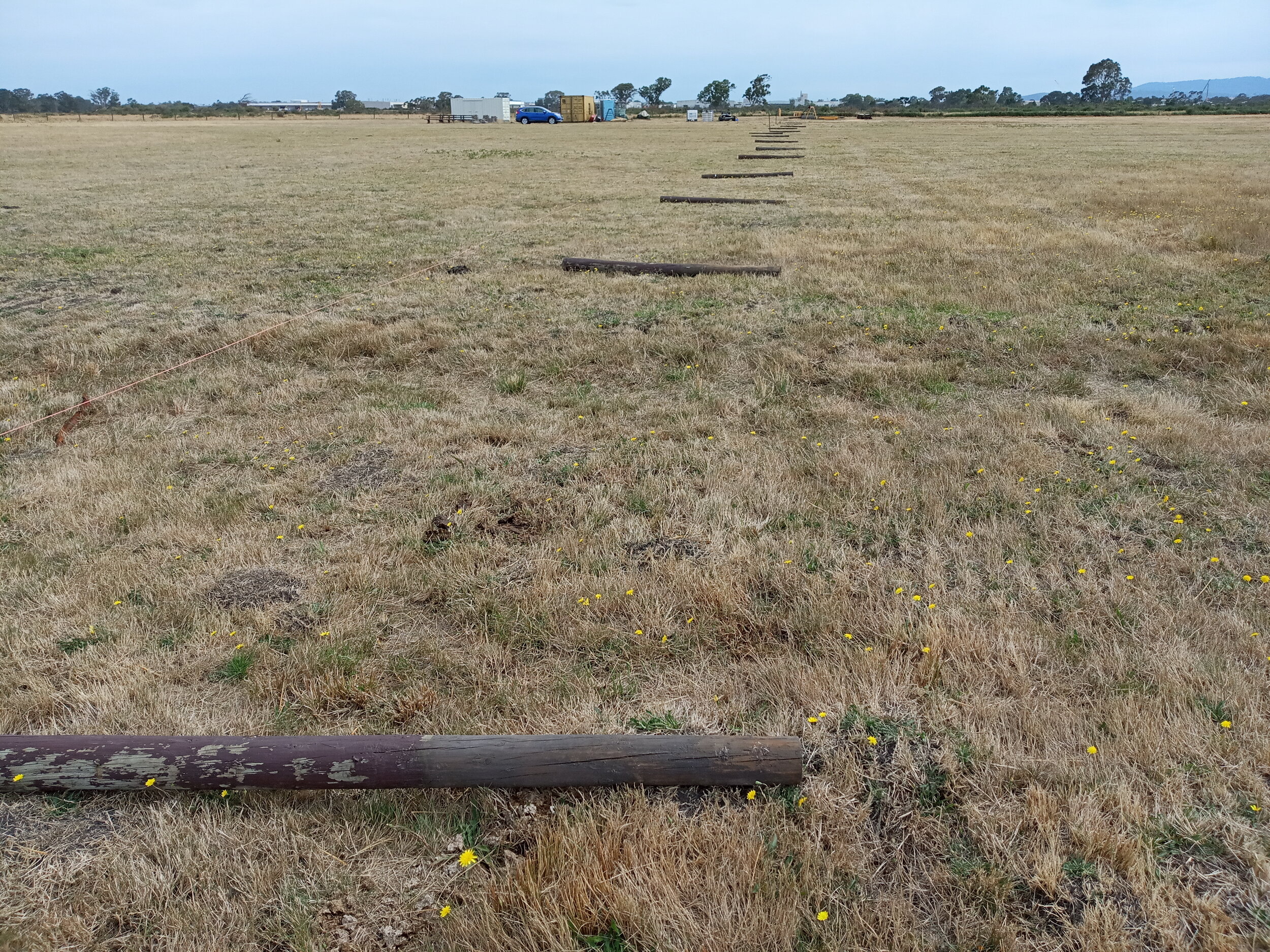 28/1  Posts laid out by Brendon in readiness for the 31/1 Working Bee 
