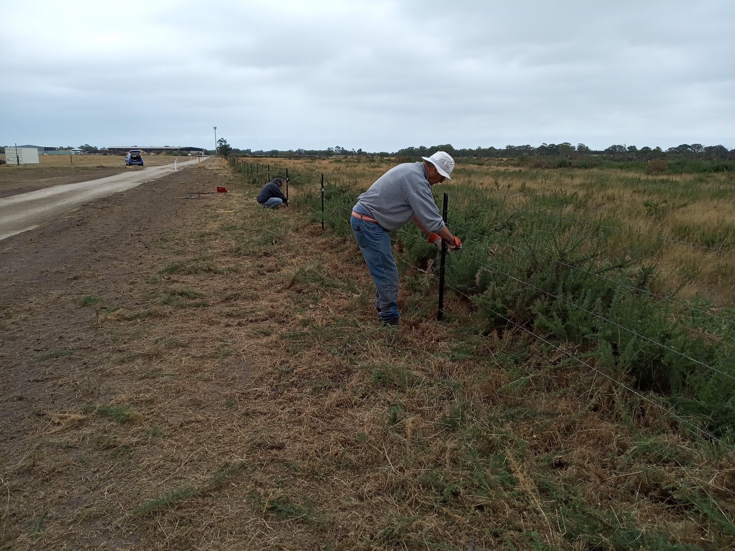  4/3  Dino and Bill secure the barbed wire strands to the dozen new star pickets hammered in by David to fix the fire damaged fence  