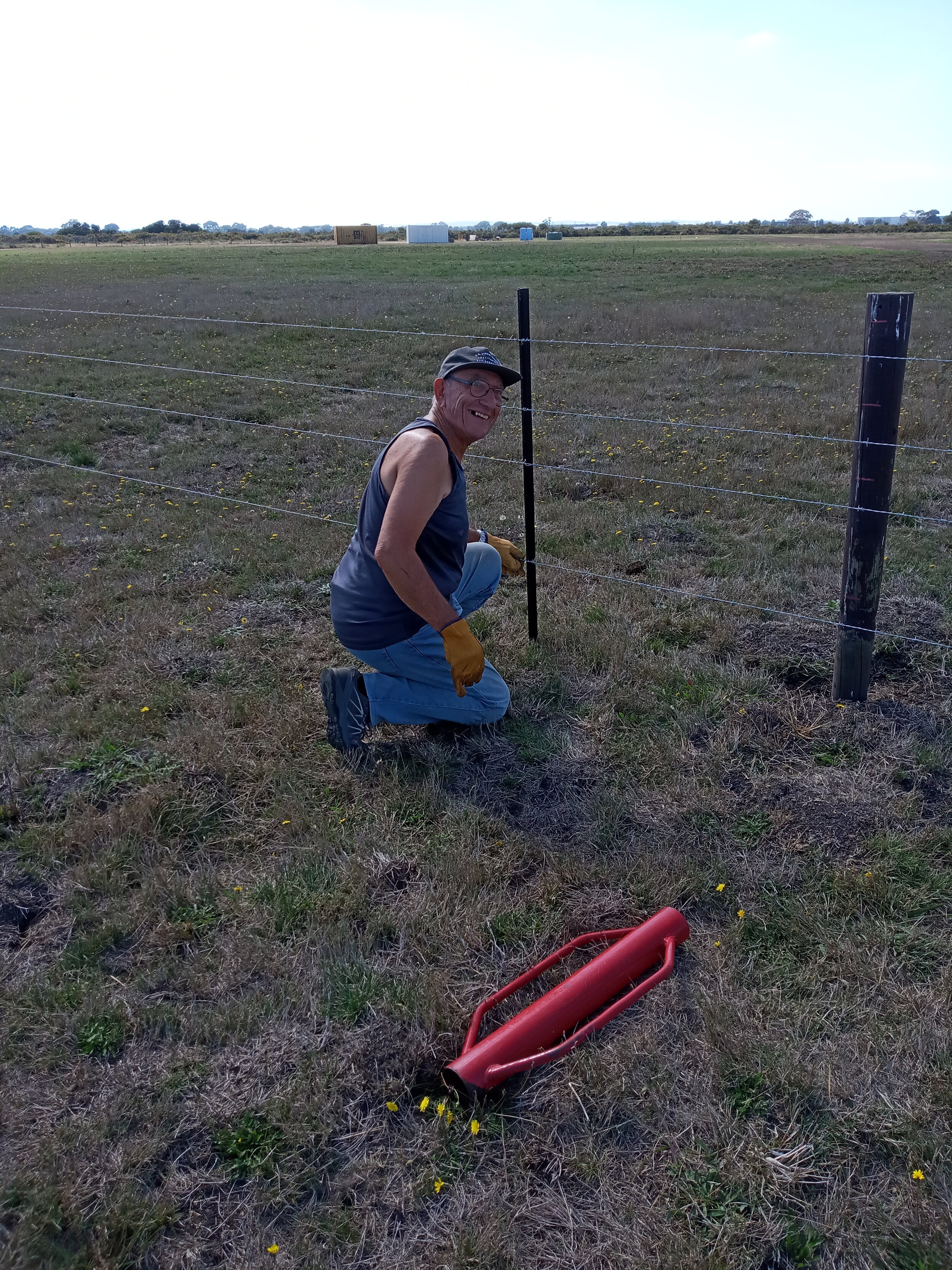  31/3  Dino ties the stake to the barbed wire. 