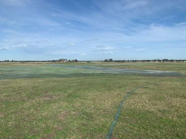  Another view of the hydroseeded runways. 