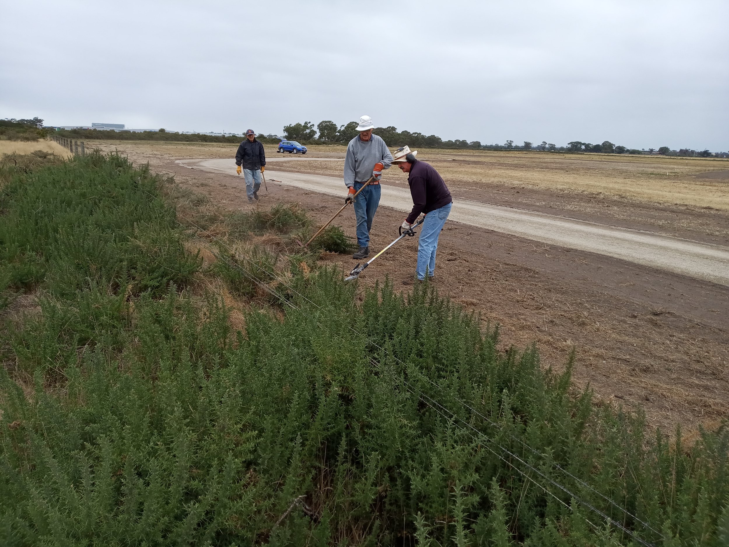 3/4/21 Dino, David, Bill and Geoff clear gorse