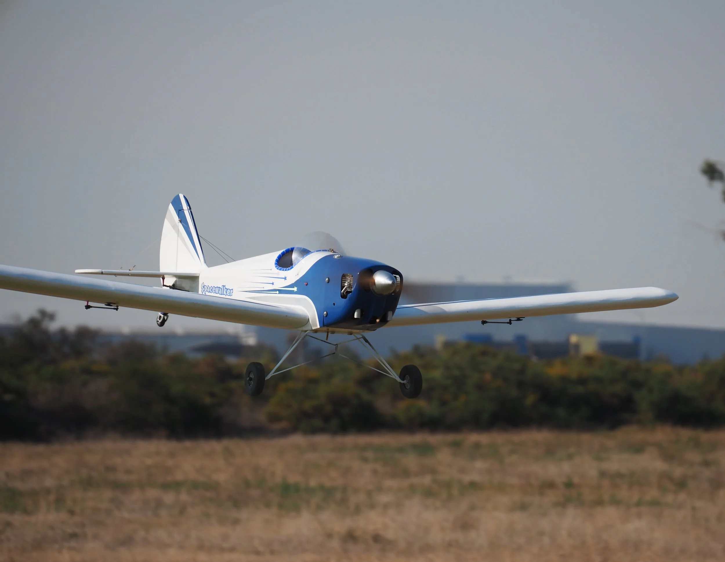 P5130078_cr.jpg