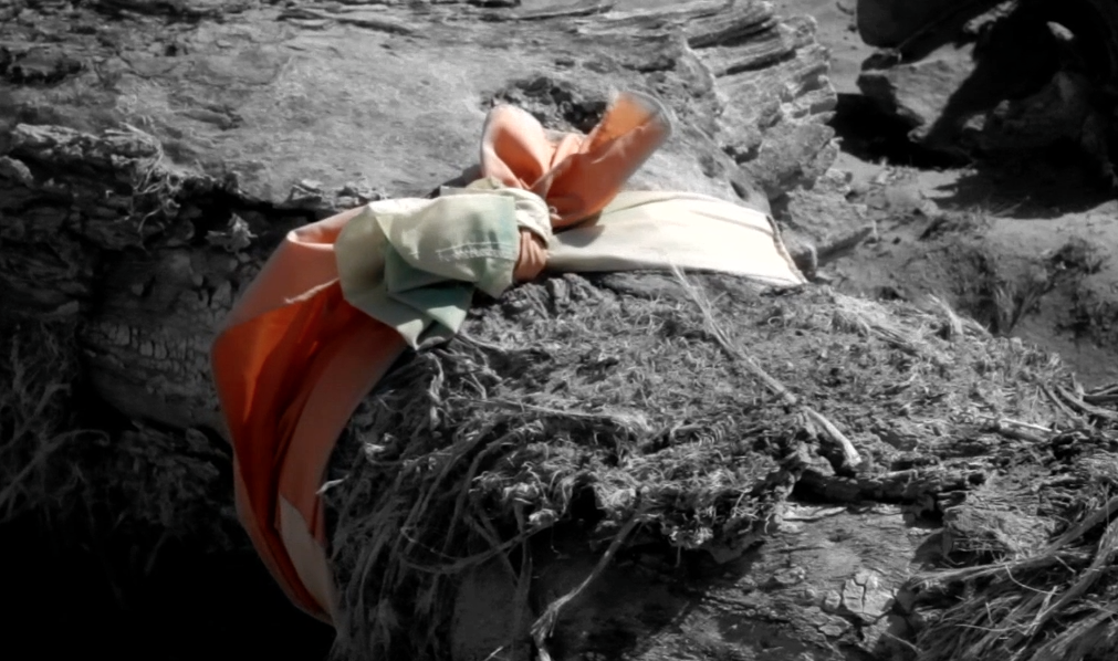 The Joshua Tree 1.png