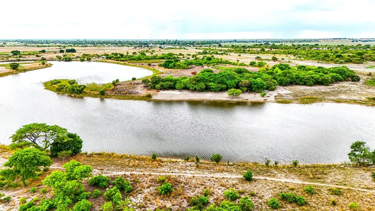 WhatsApp Image 2026-03-31 at 23.36.41.jpeg