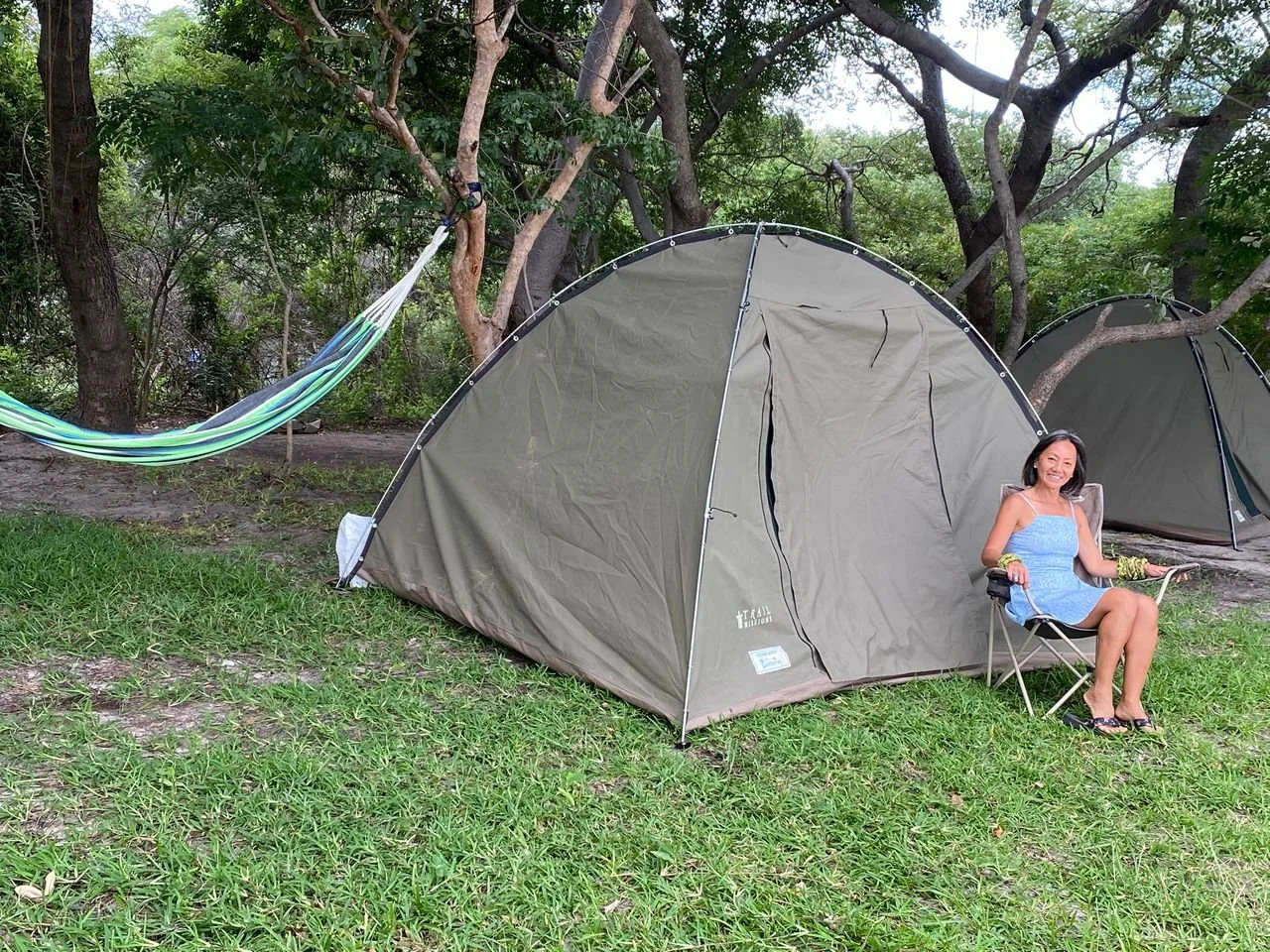 WhatsApp Image 2026-03-31 at 23.37.17.jpeg