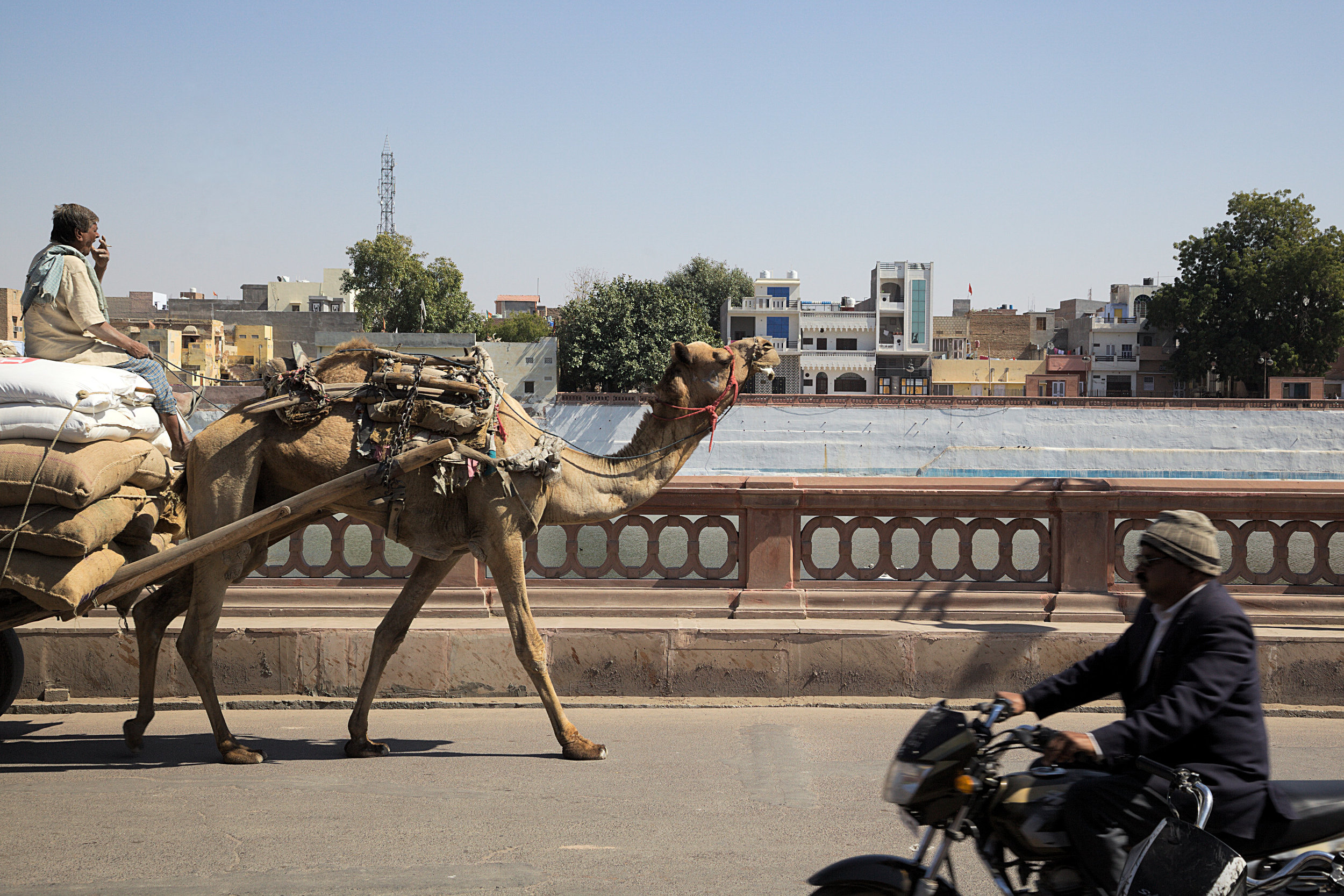 Traffic in Bikaner, Rajasthan