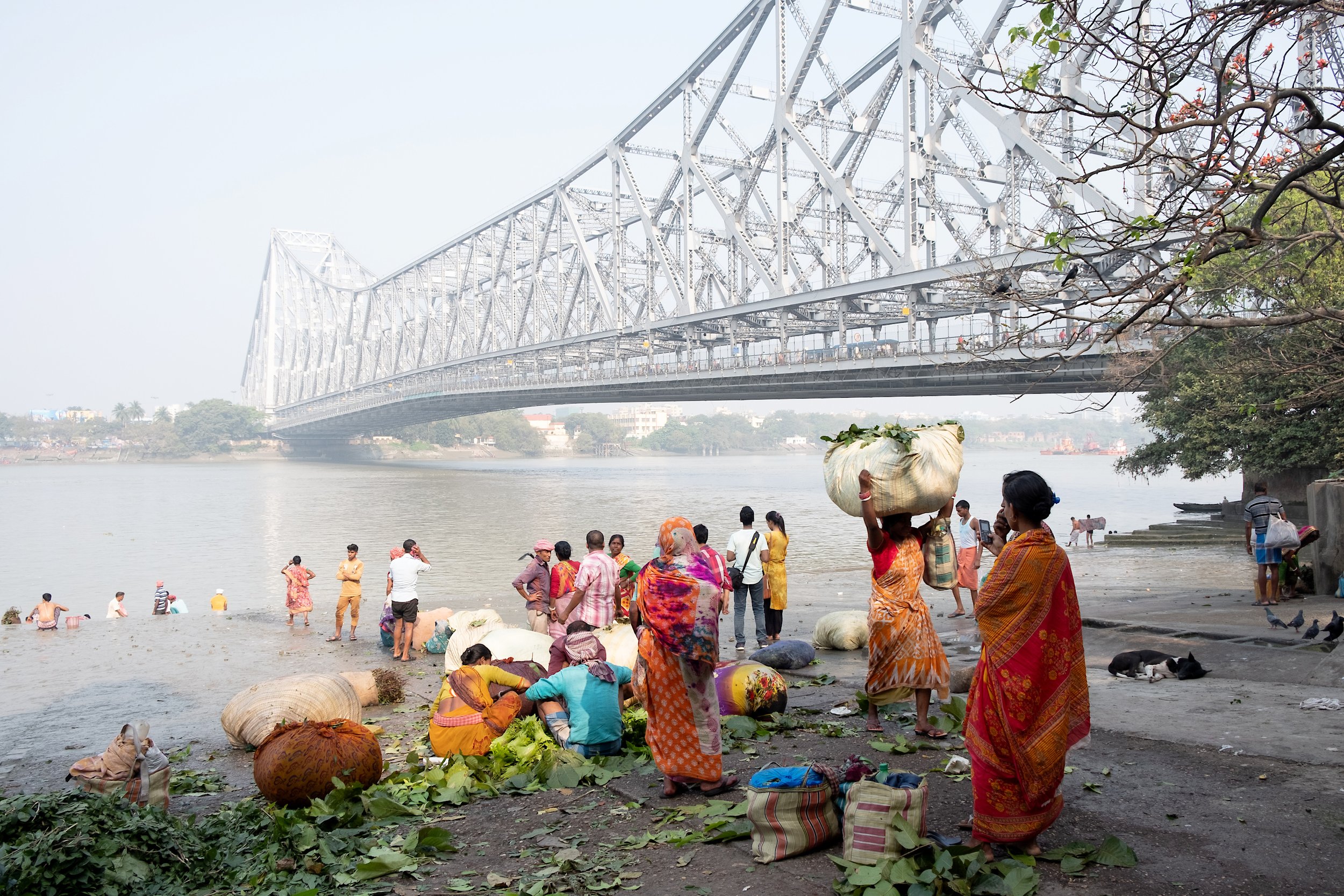  Hooghly River, Kolkata 