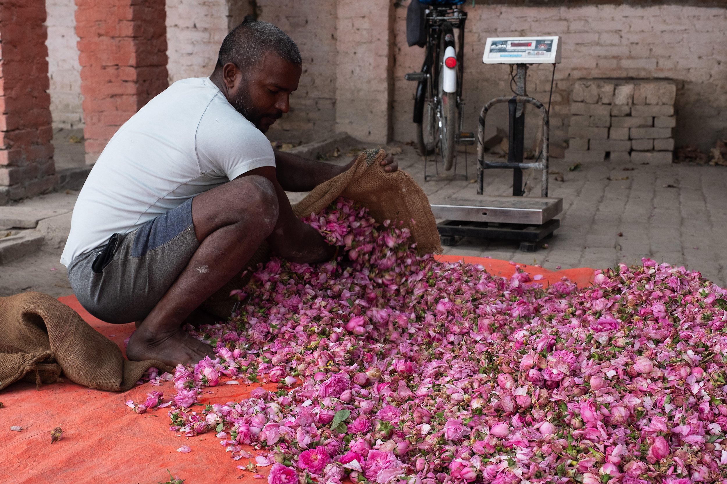  Ittar artisan in Kannauj, Uttar Pradesh for Al Jazeera 