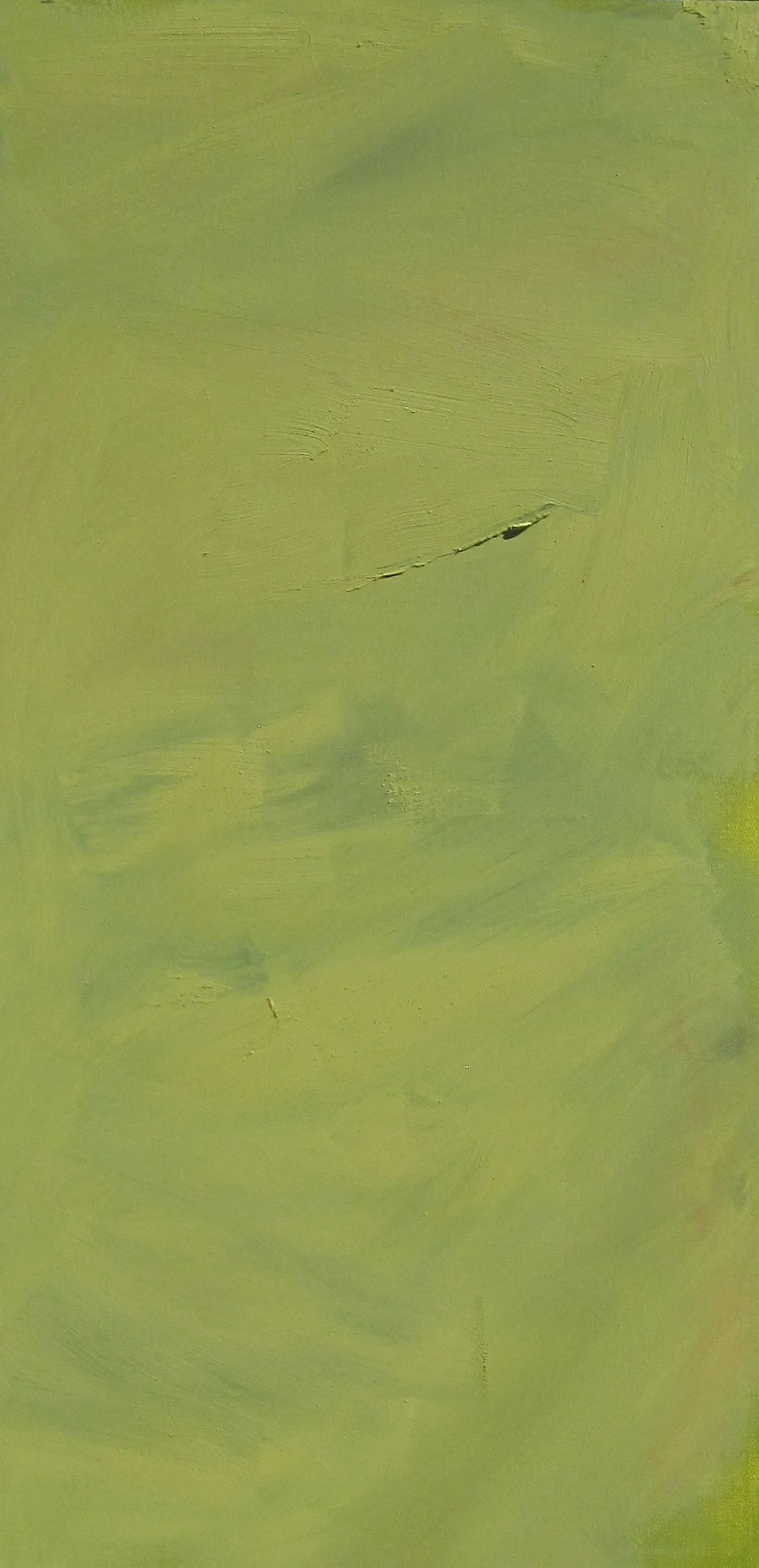 48" x 24" - oil and wax on canvas