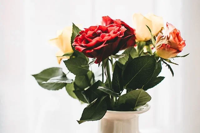 This wonderful SoCal weather has us feeling some kind of way. Flowers, sunshine and good vibes all day long.