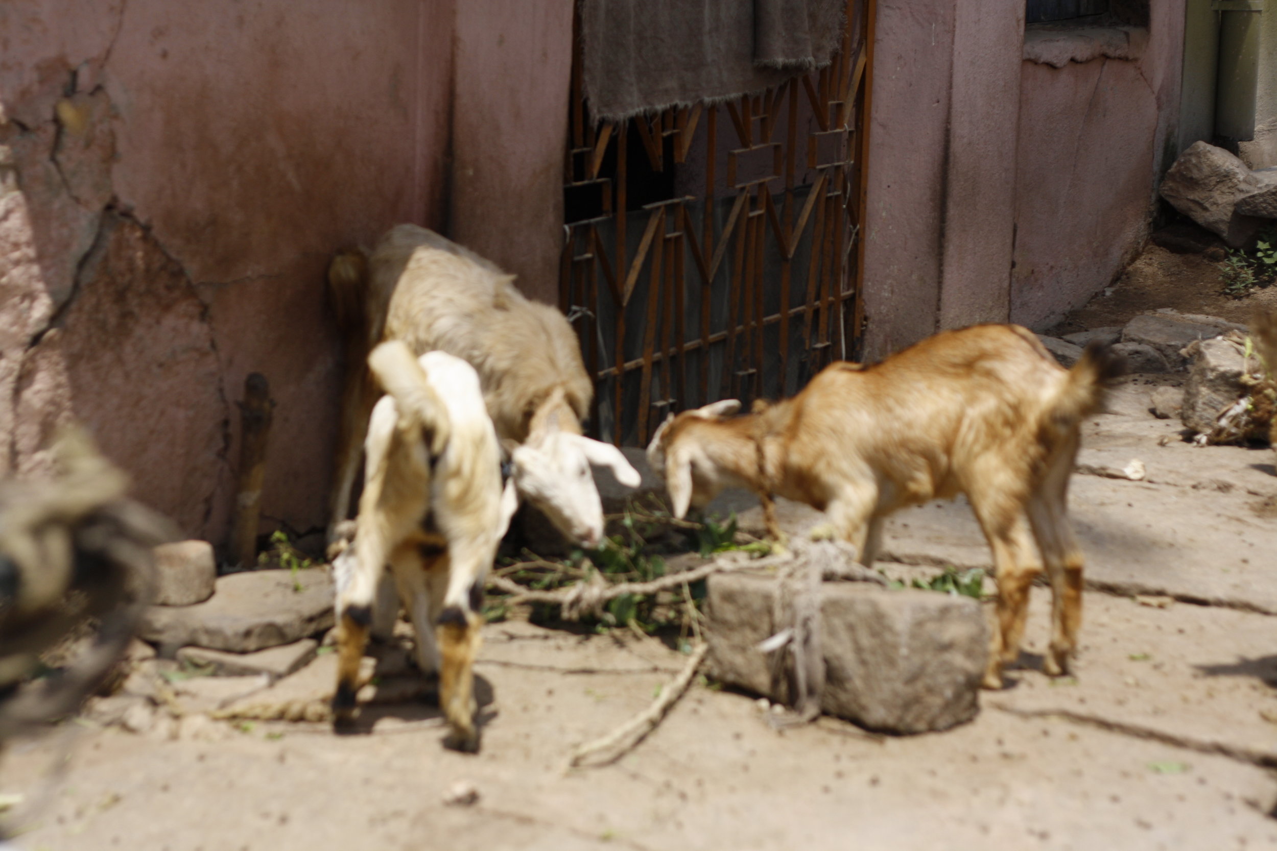 Bangalore Potters village