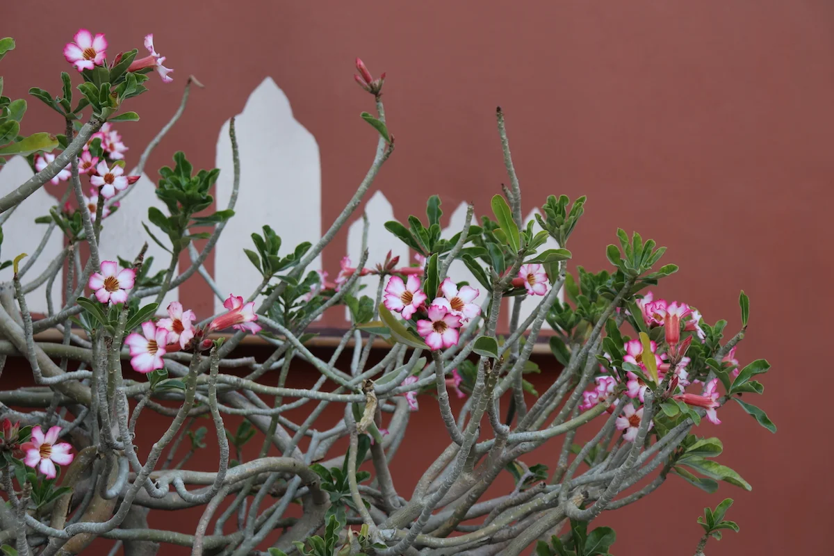 Traditional and Contemporary spaces in Ahmedabad