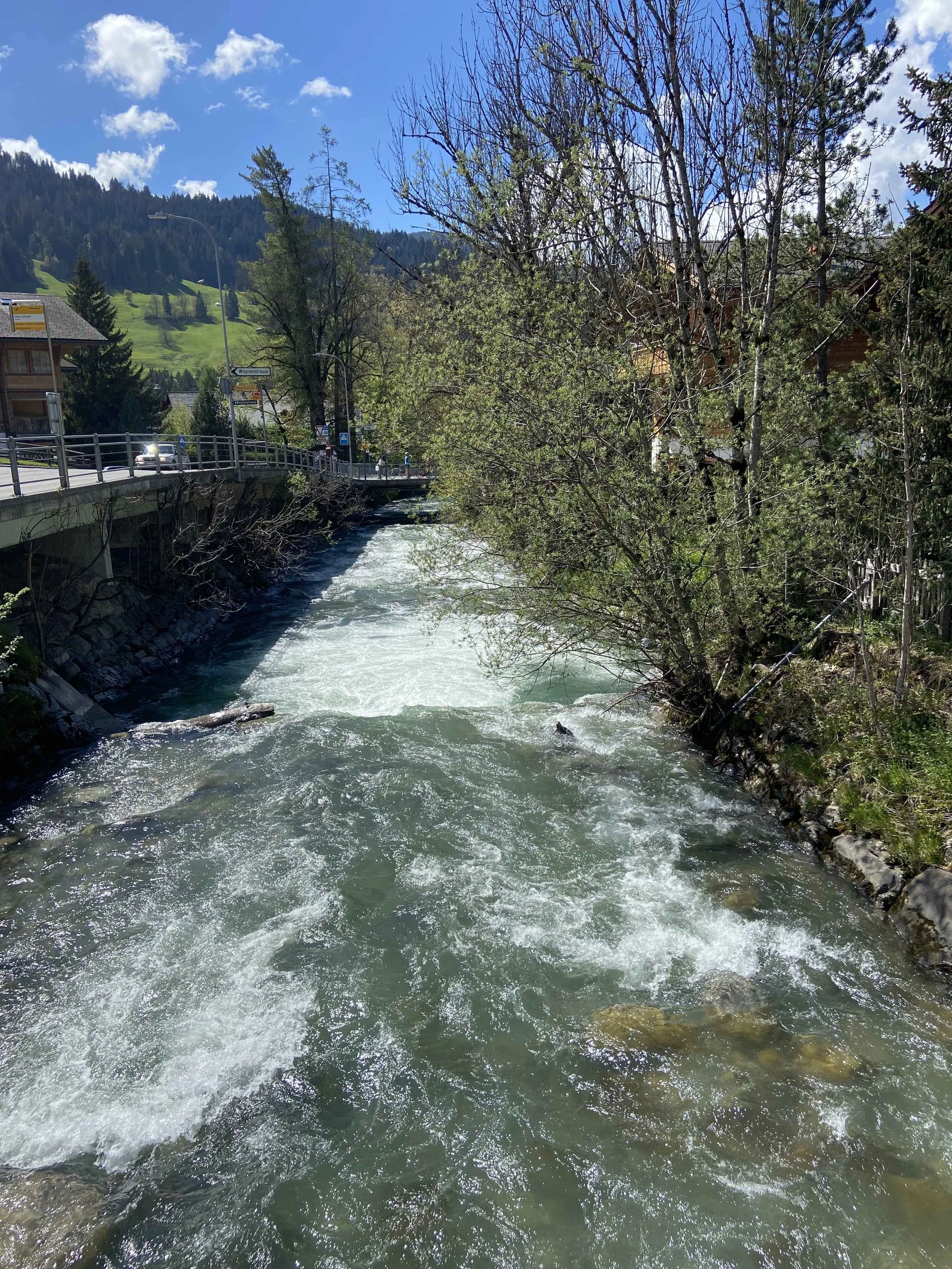 IMG_6324.jpeg