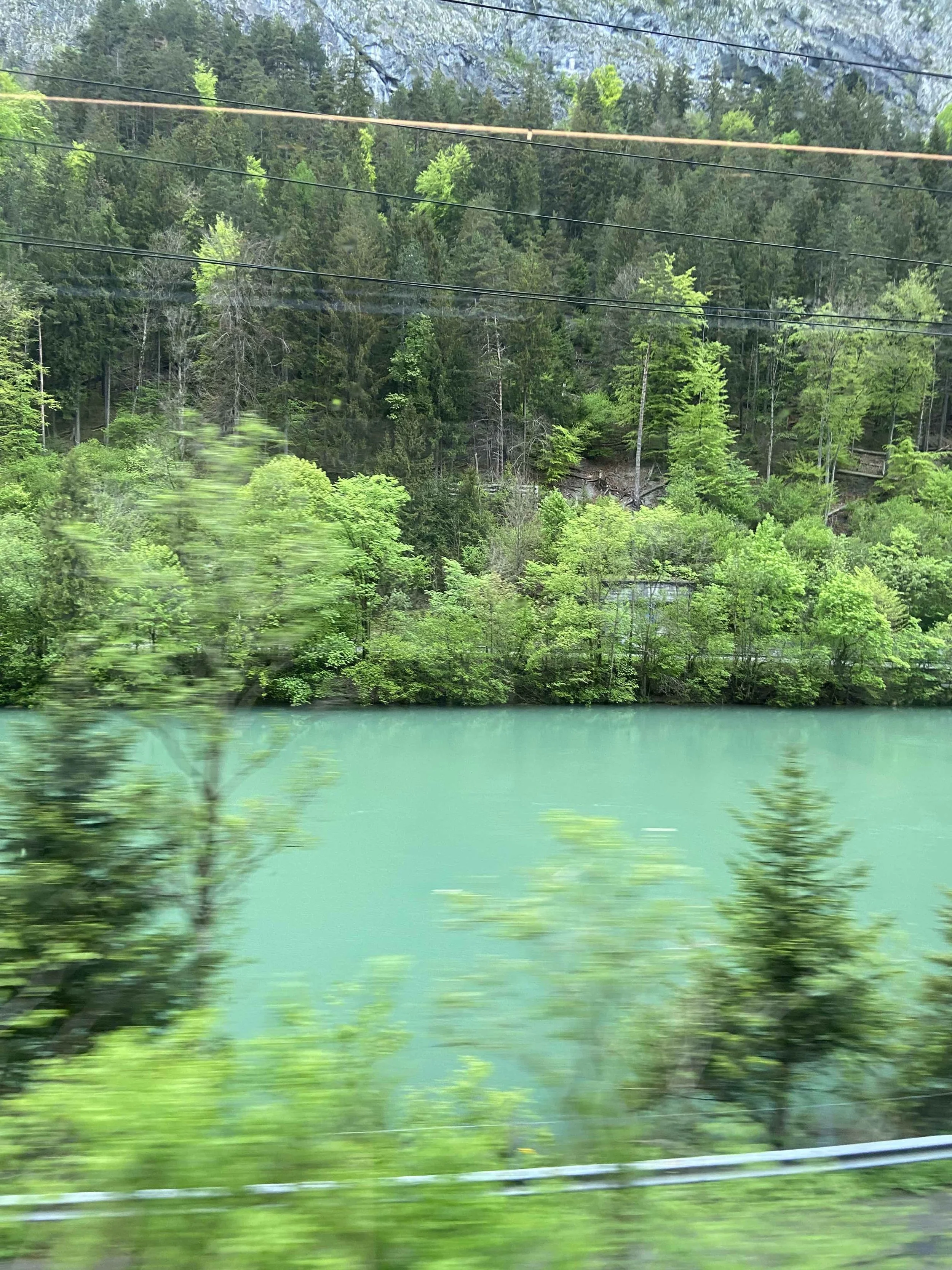 The Window Seat | Black Forest to the Alps 