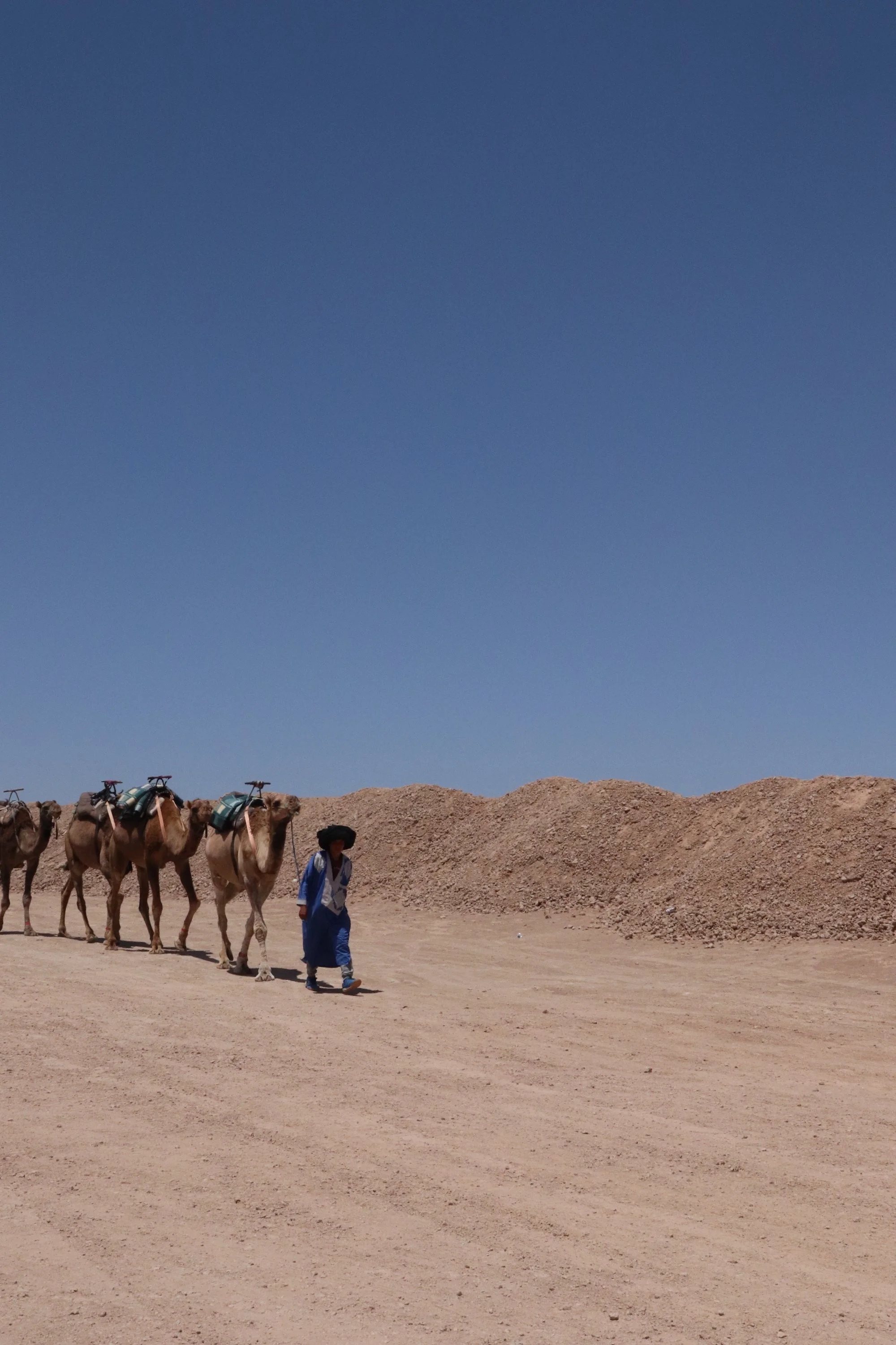 Musings of a Musafir with a Caravan at a Sarai 