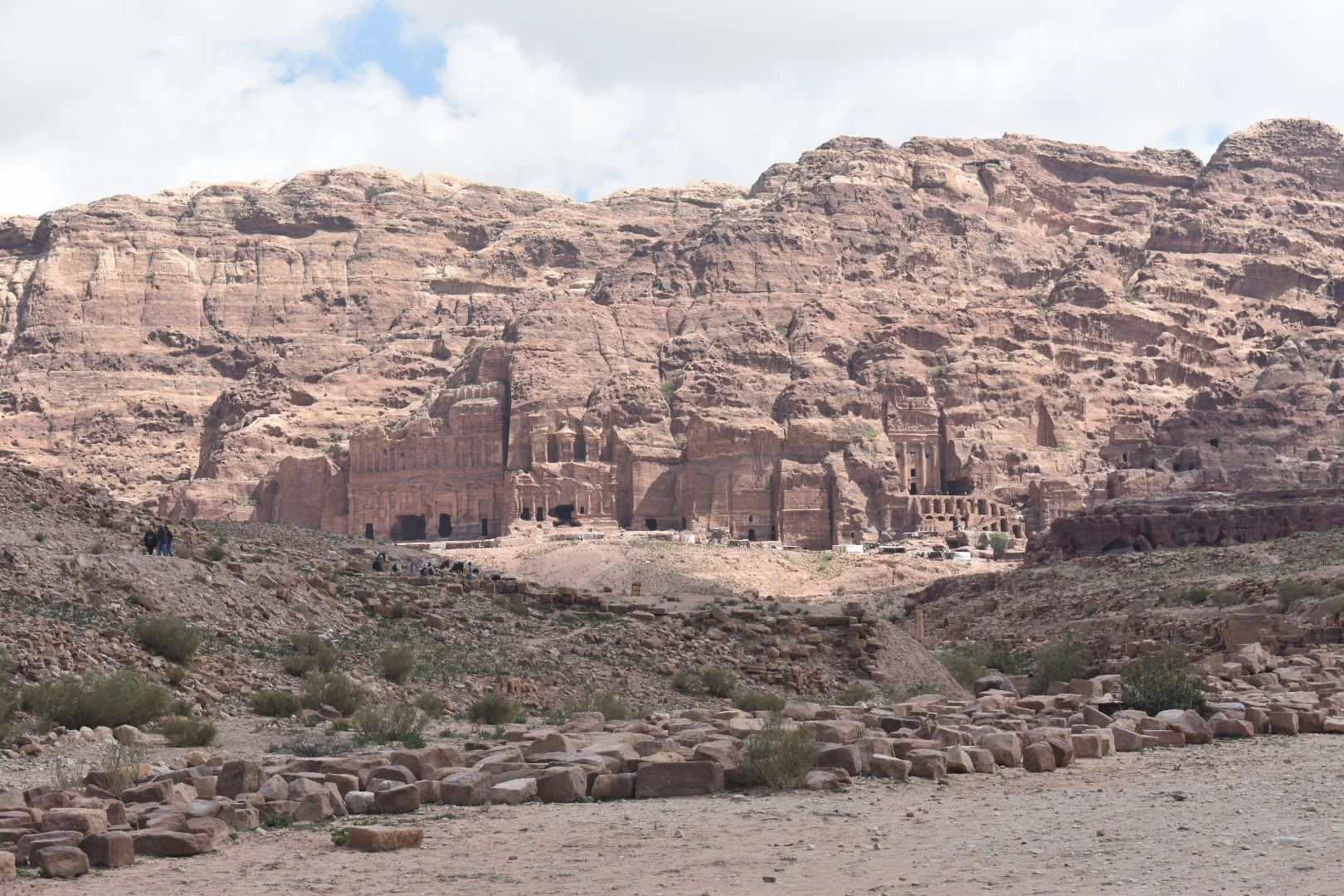 DSC_0106_5.JPG
