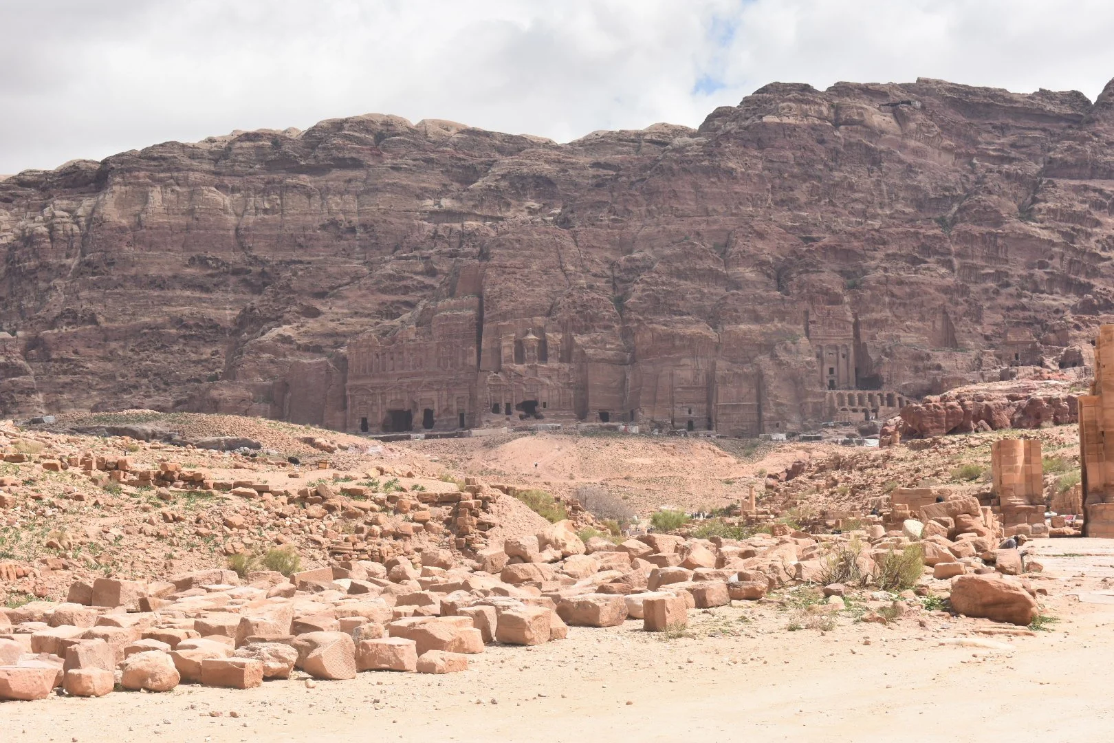 DSC_0101_5.JPG