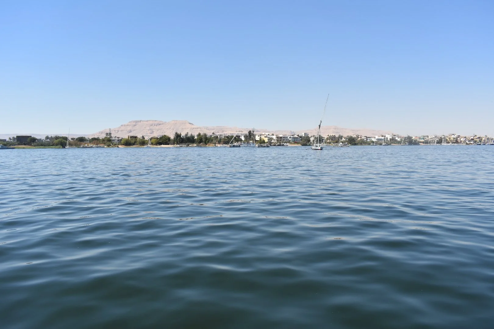 DSC_0509_4.JPG