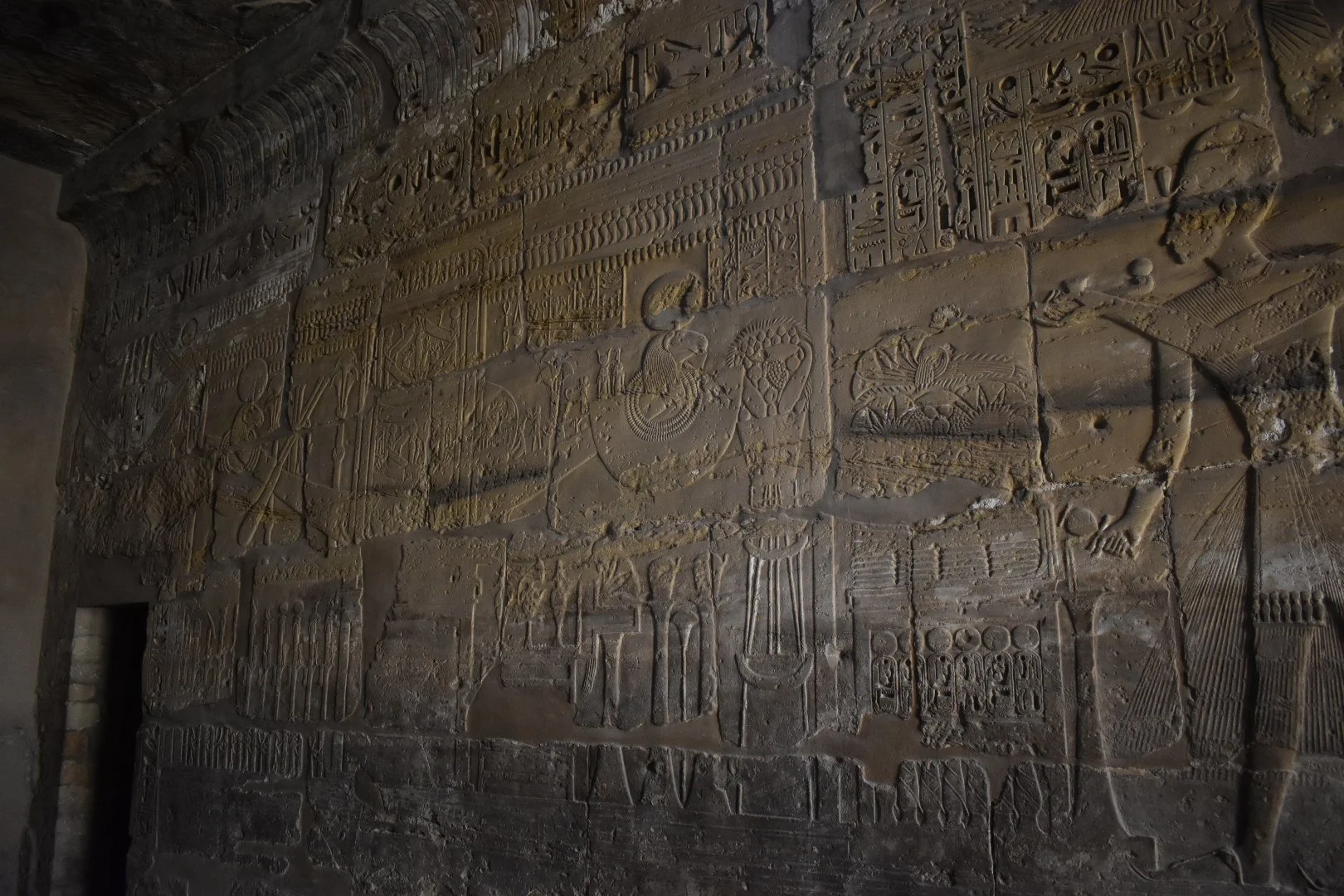 DSC_0603_4.JPG