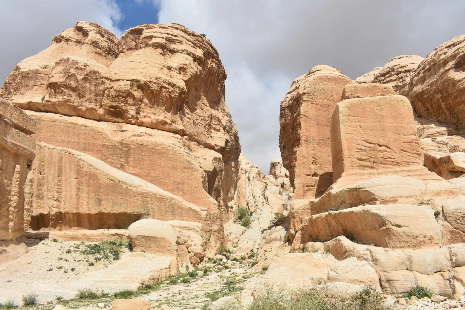 DSC_0873_3.JPG