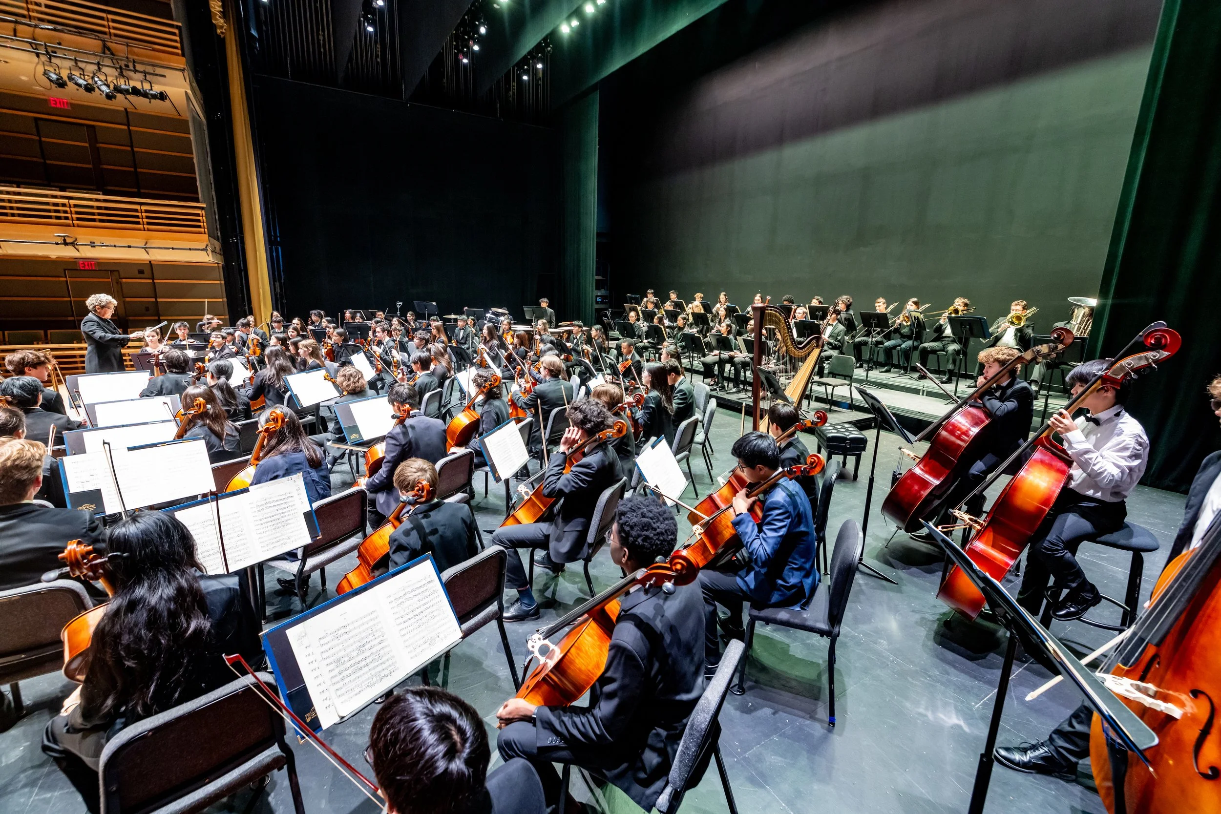 Philadelphia Young Artists Orchestra