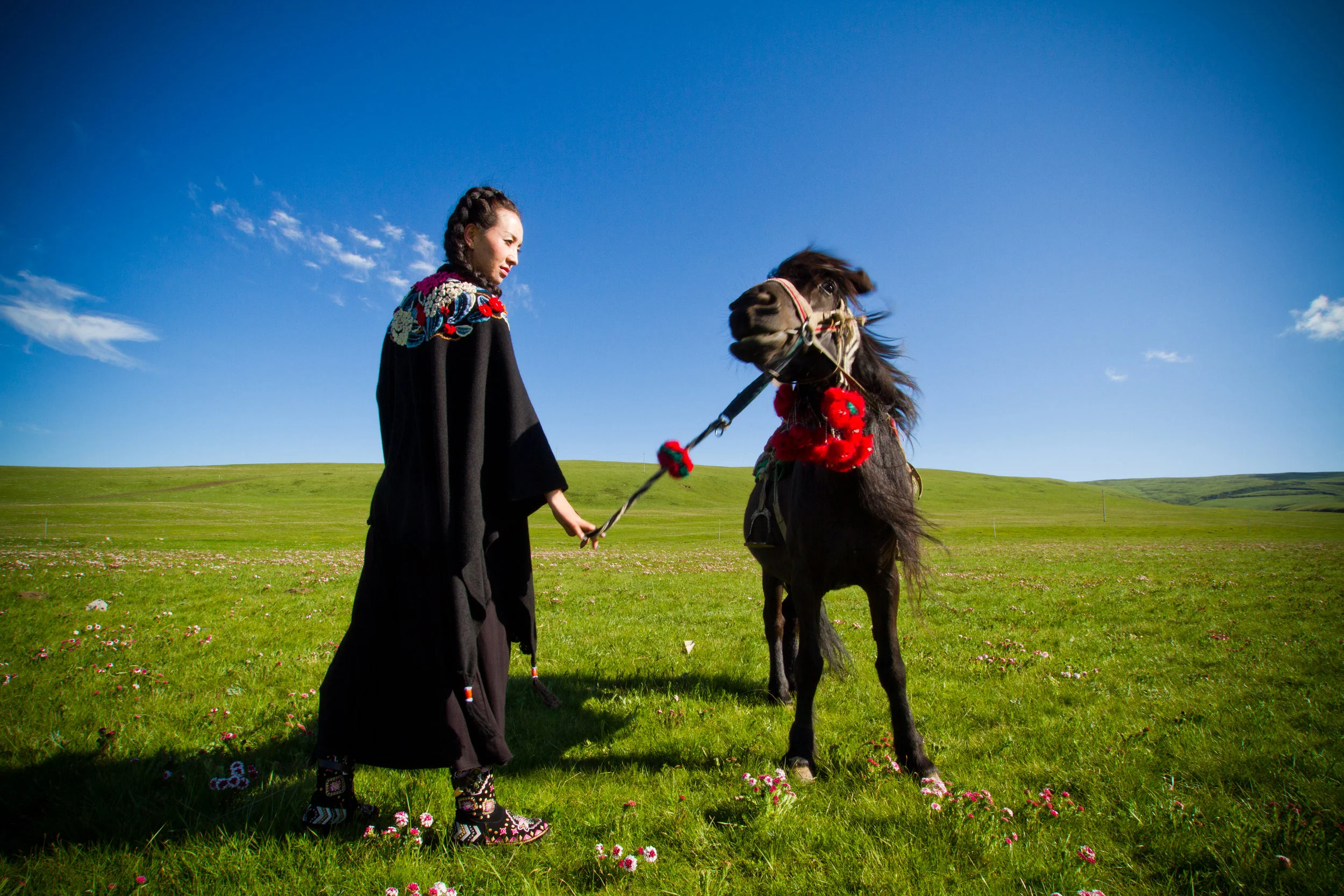 High altitude green summer fields. The rolling hills surround the lake and lend itself to a wonderful place to spend the summer.