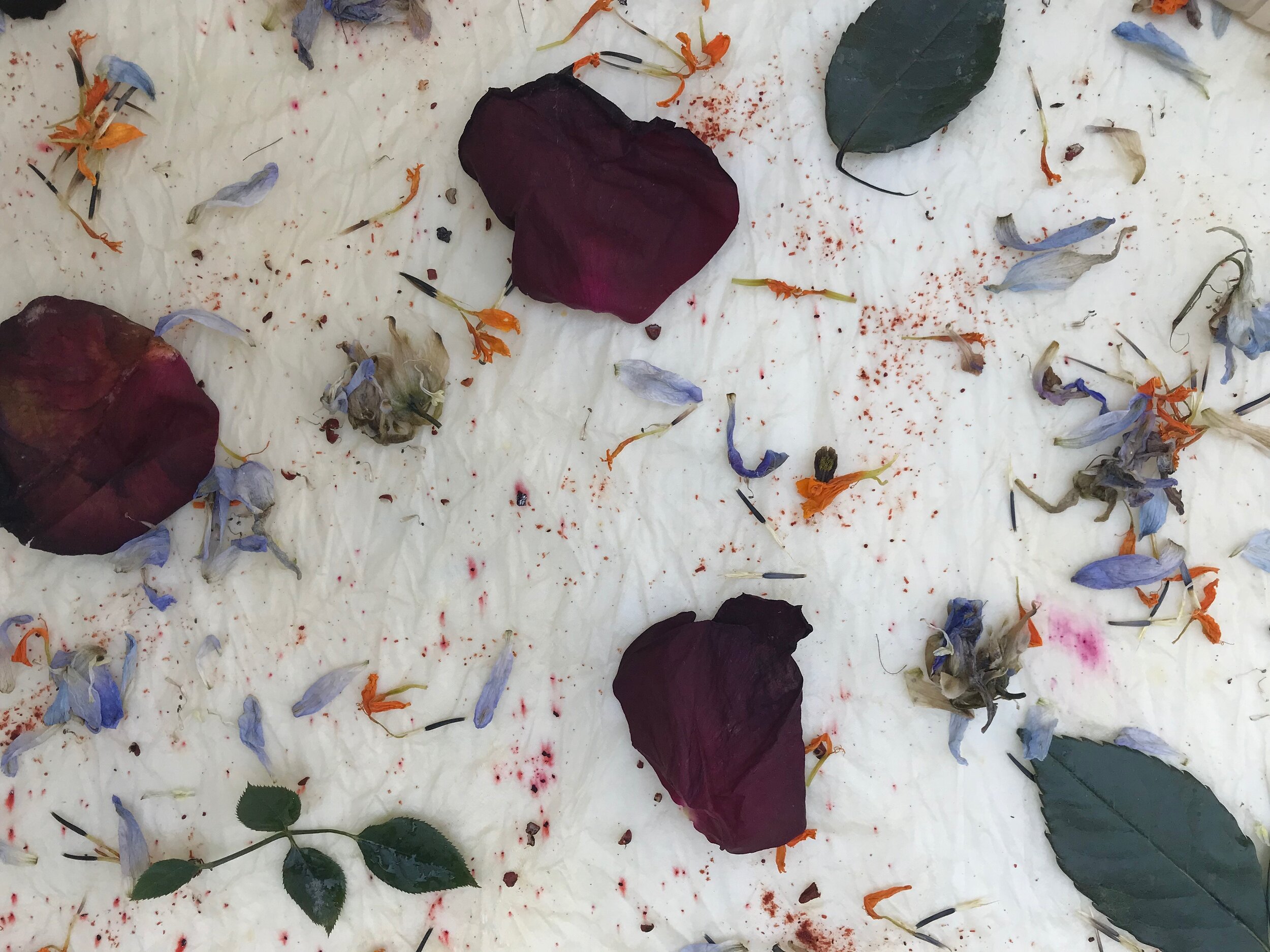 painting with petals.JPG