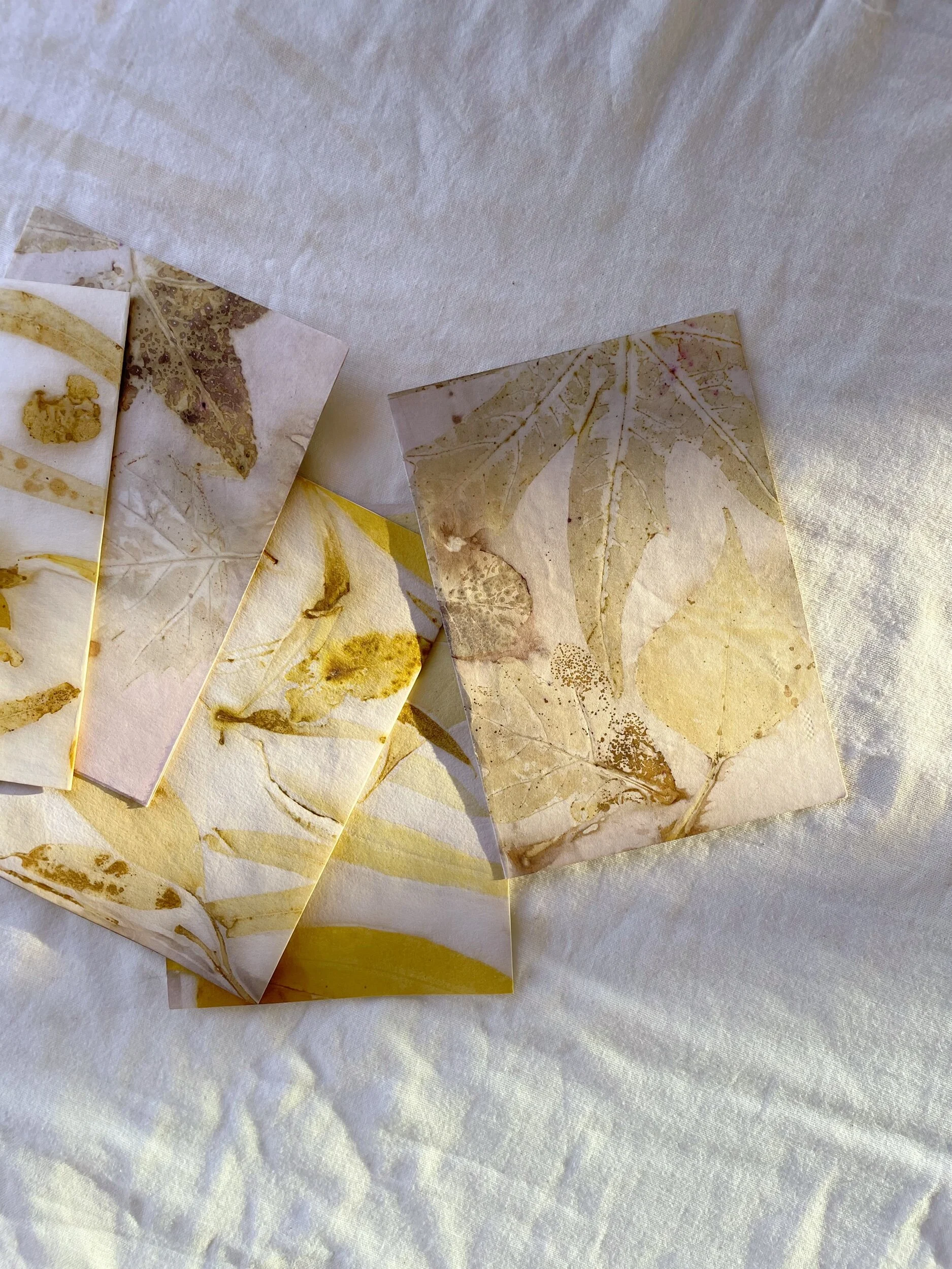 24E6918E-EB35-426C-B5F0-AABB88B93C1D