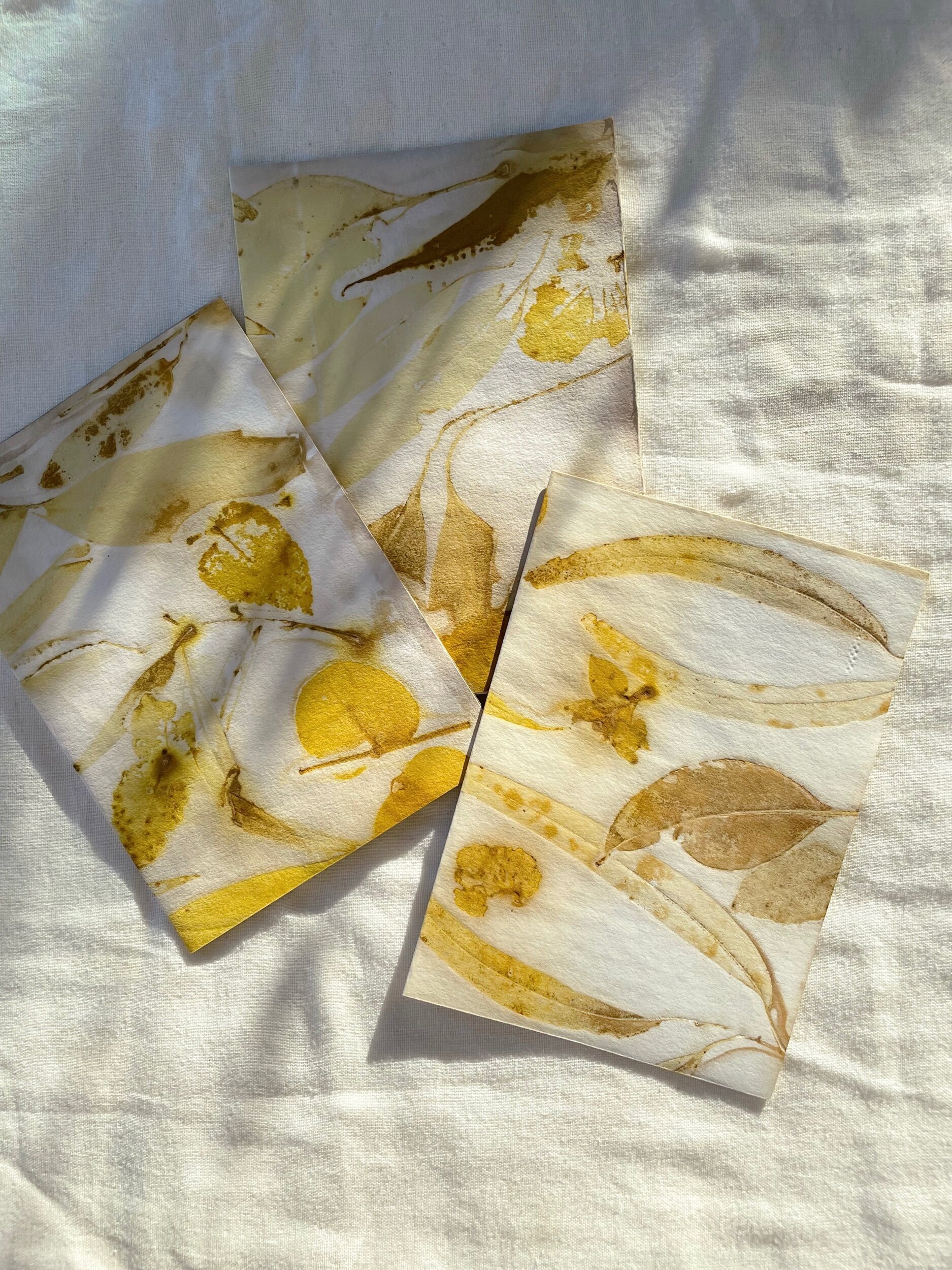 9C7117C9-38FF-43ED-B427-663FD2314F02