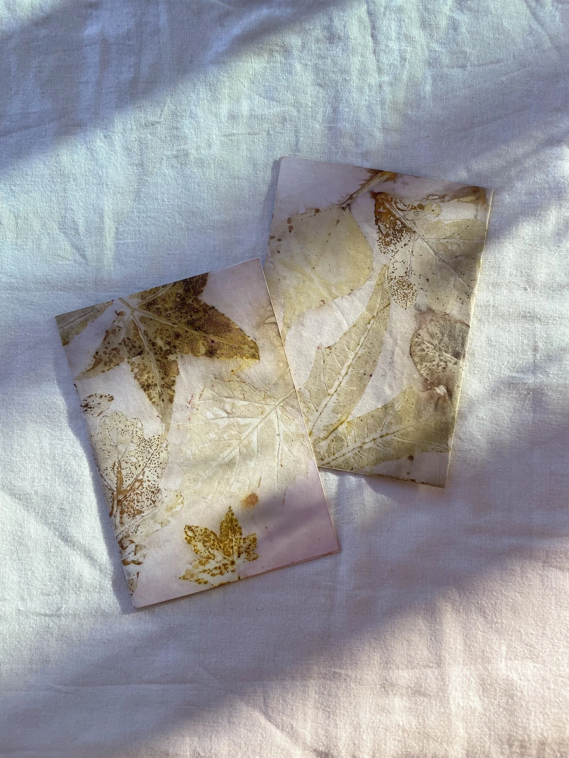 BCC571E1-AFCD-4BCC-9E84-B79509AB8639