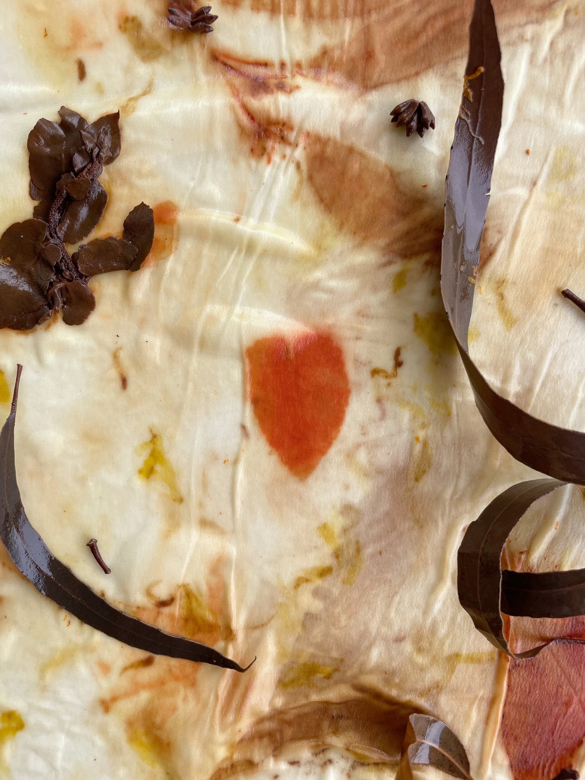 9FFEFD73-603E-4D82-A12C-DD558548F4E2