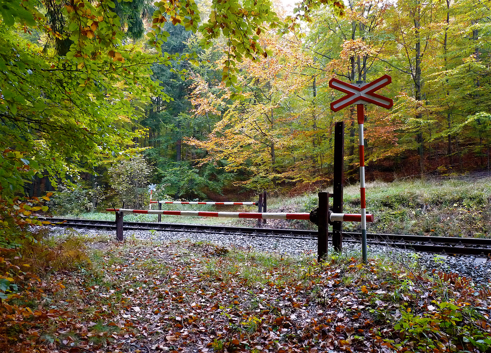 P1070445.jpg