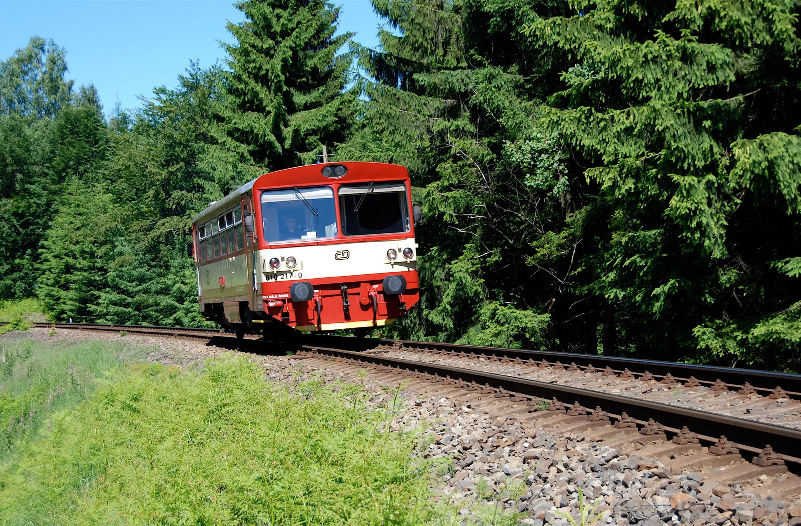  Jedlová - Nová Huť v Lužických horách / 13. 6. 2009 