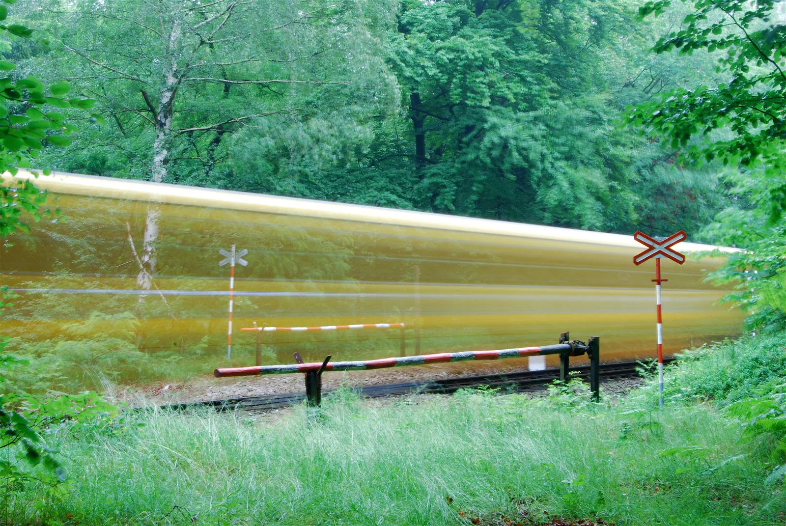  Raspenava – Oldřichov v Hájích / 24. 6. 2009 