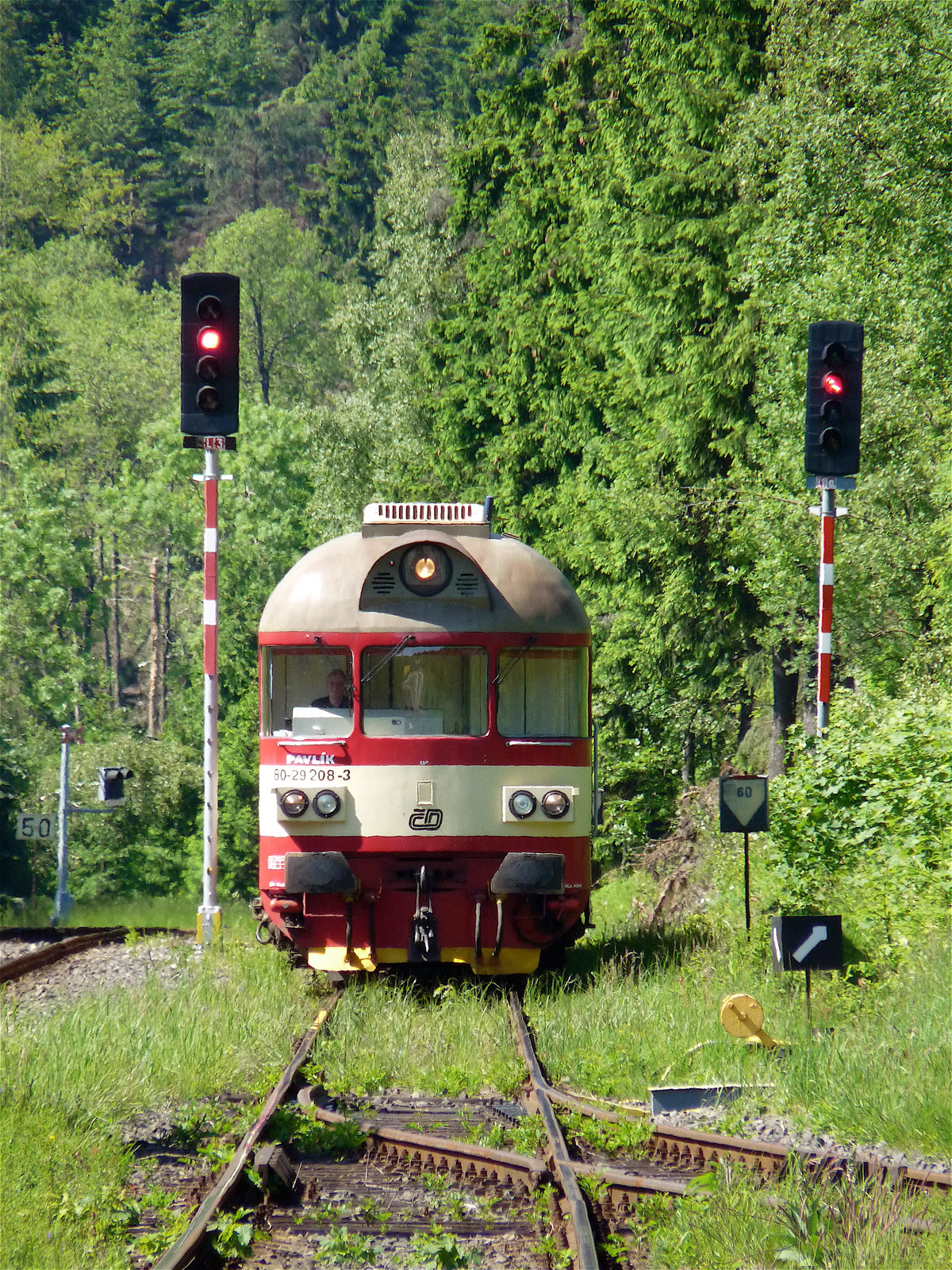  Jedlová / 17. 6. 2010 