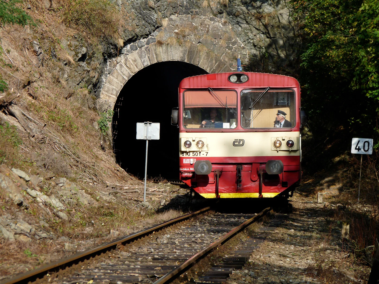 P1000715.jpg