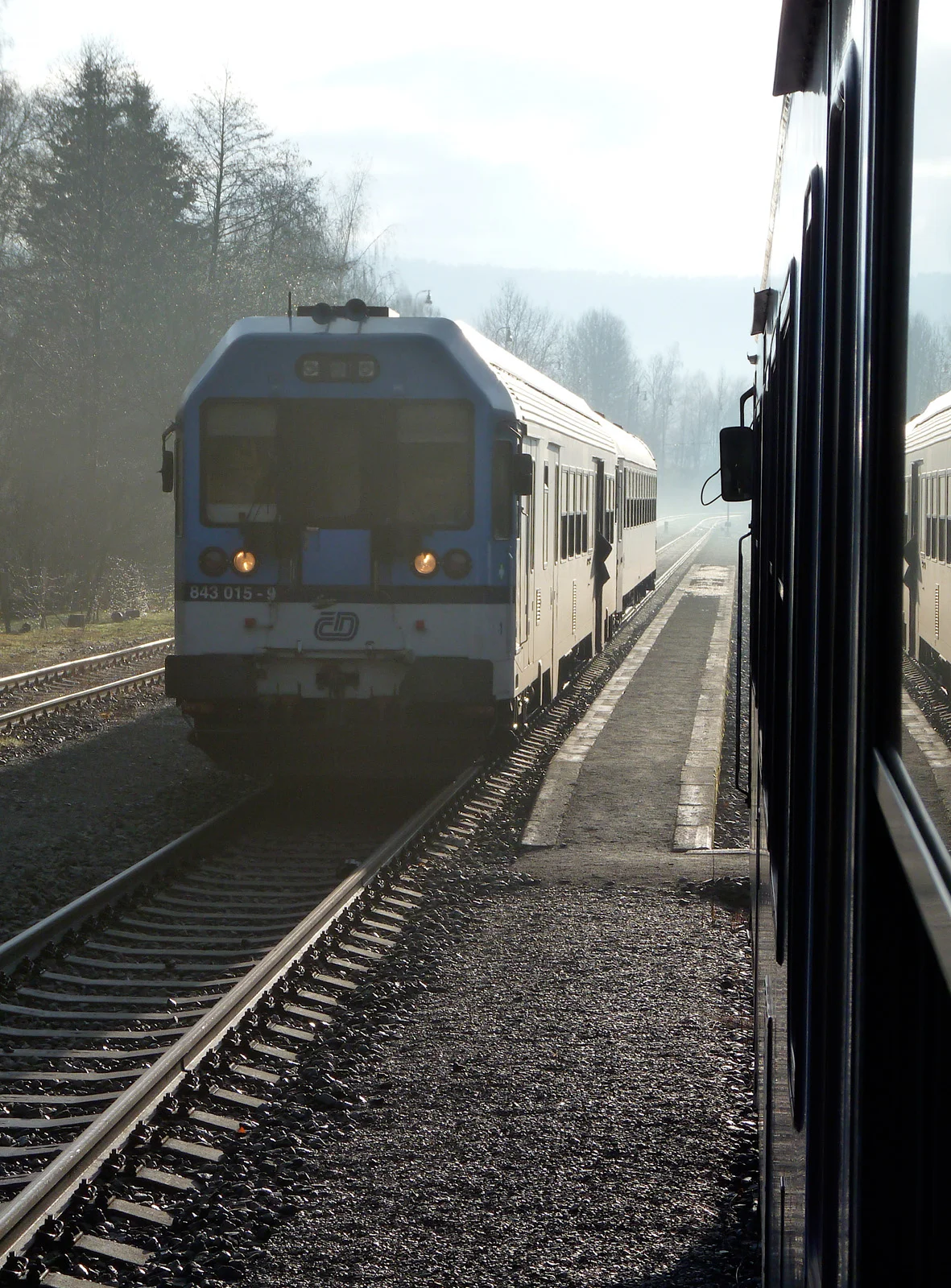 P1460066.jpg
