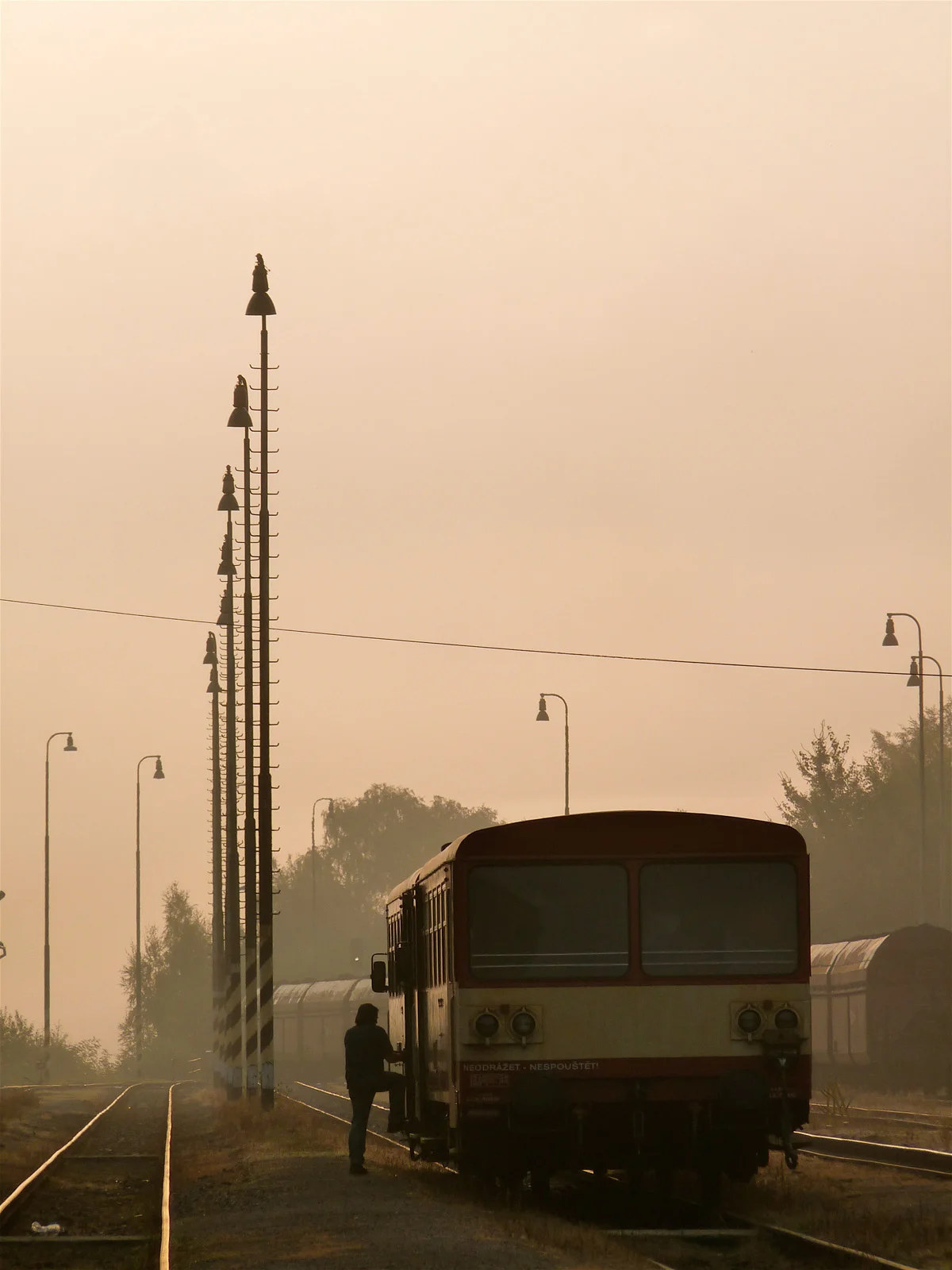 P1000455.jpg