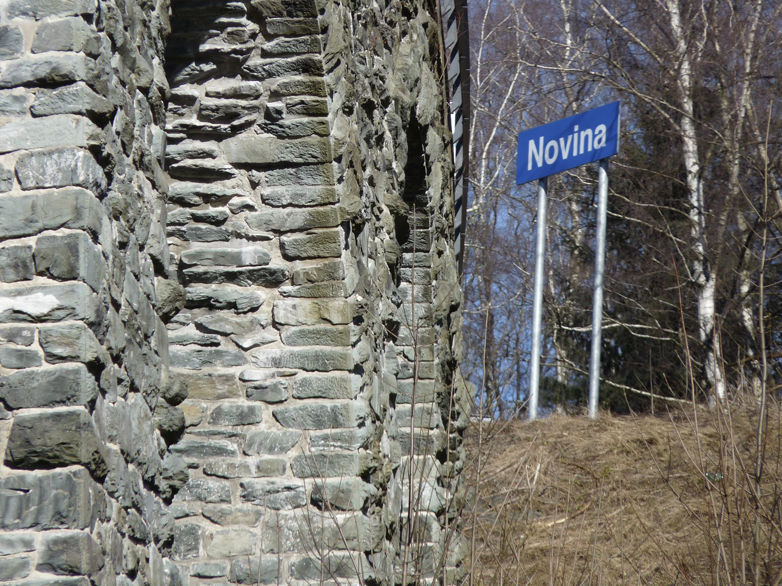 P1470622.jpg