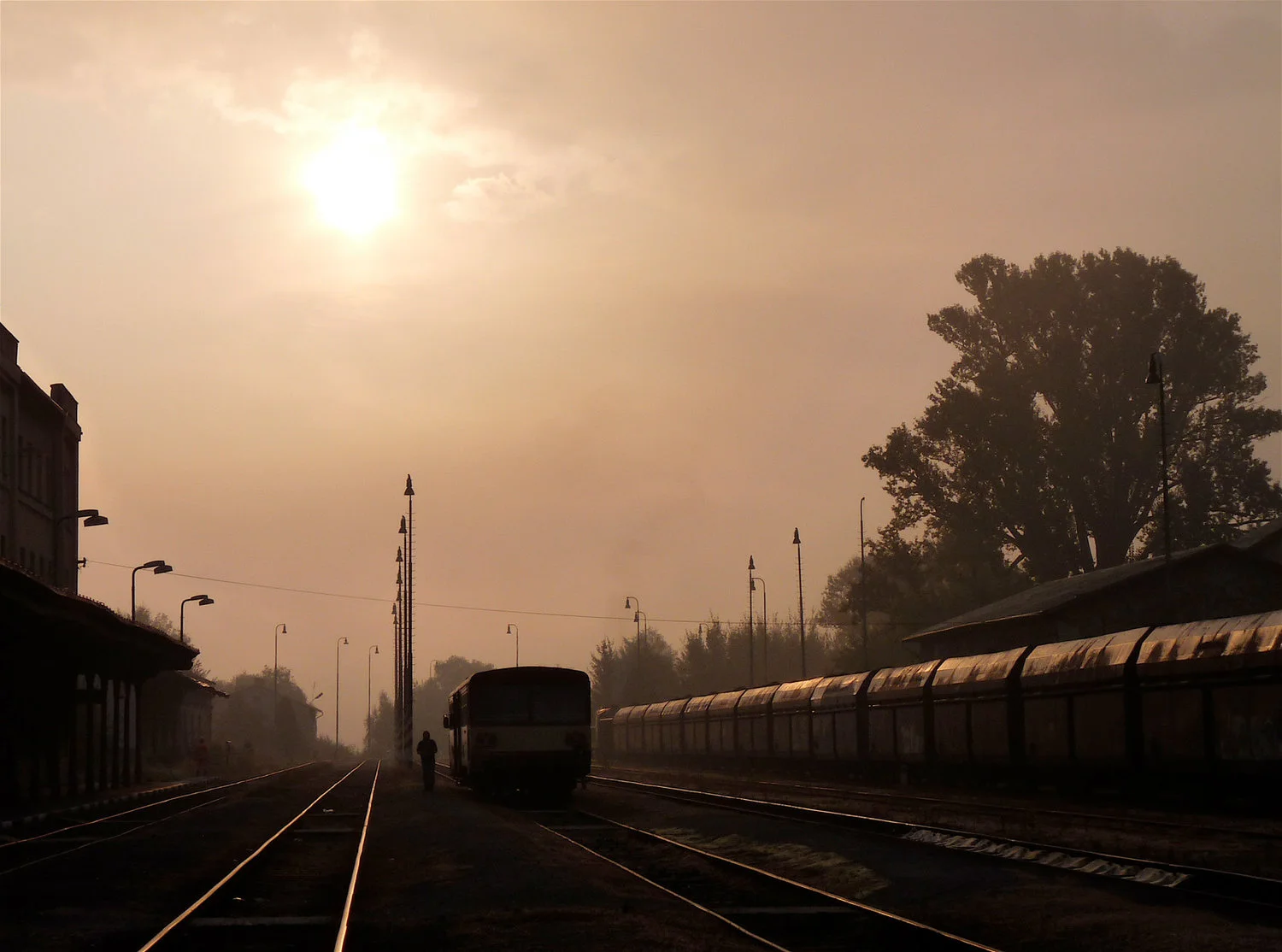 P1000453.jpg