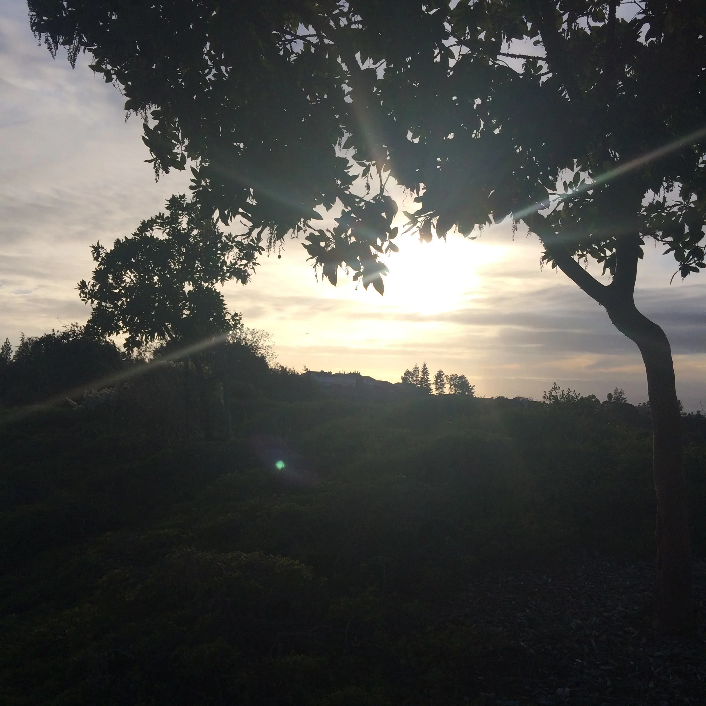 See the Light: "Unlock the Unlimited Power of Your Mind"