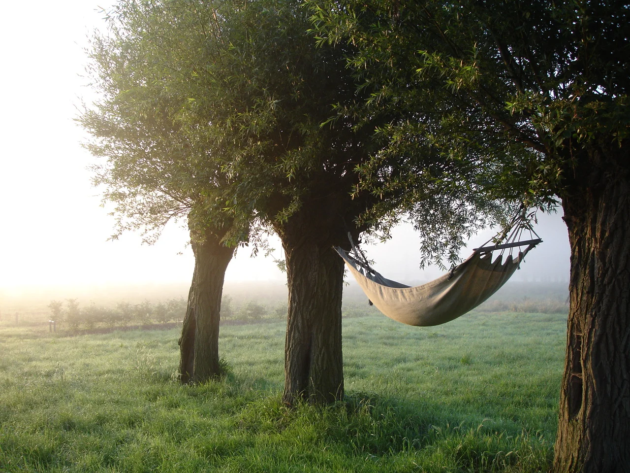 Aanleg en ontwerp van Pluktuin, zelfpluktuin, voedselbos, voedseltuin, Construction et conception de foret alimentaire, food forest design