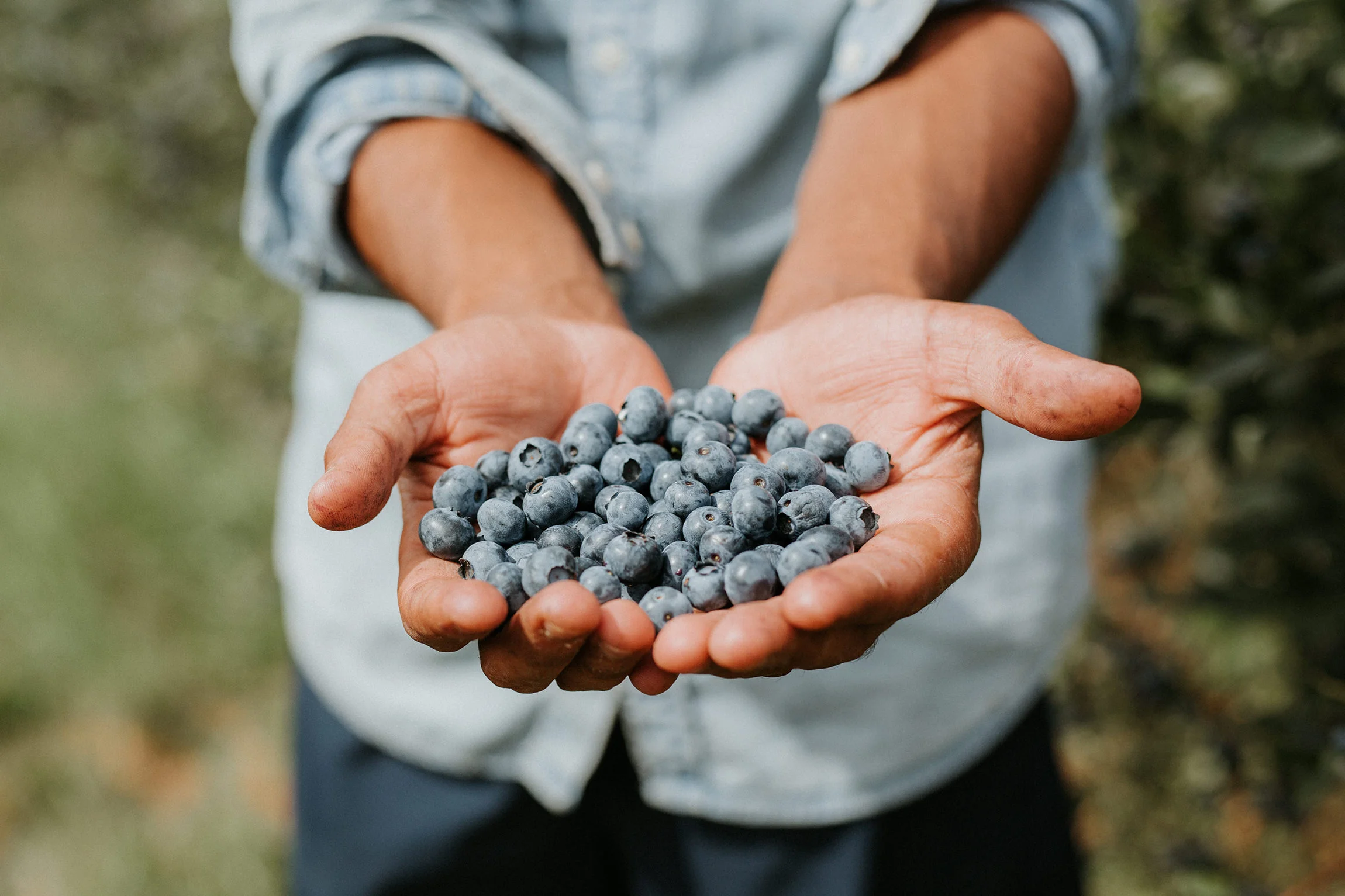  Yuri Andries Photography for Food Forest 