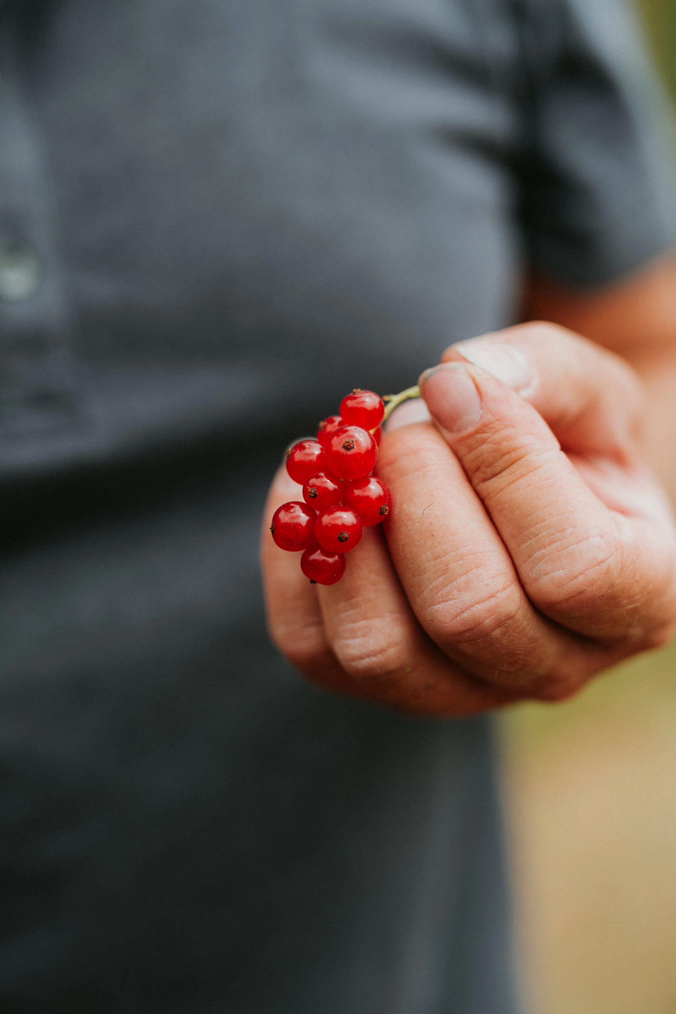  Yuri Andries Photography for Food Forest 