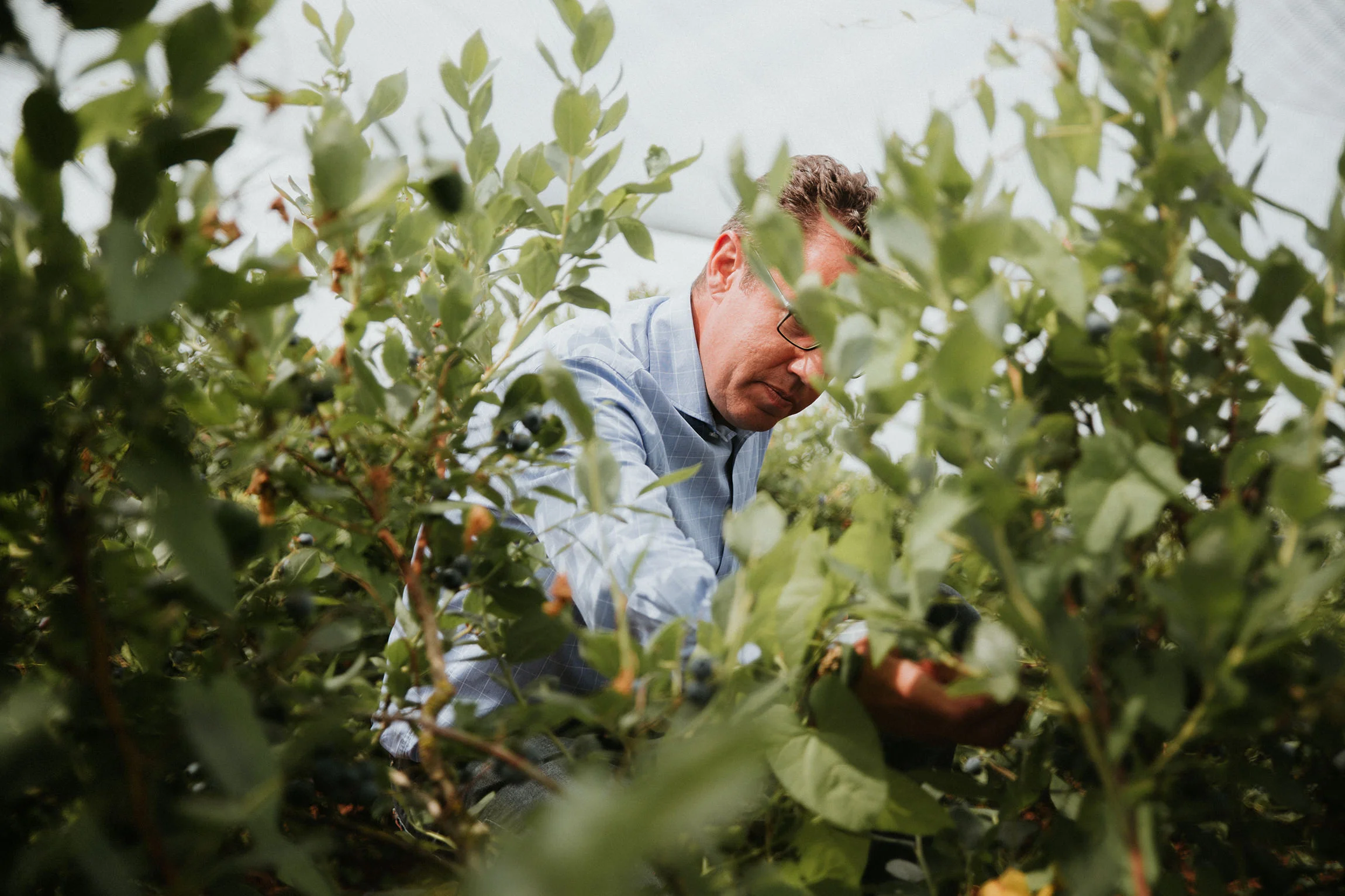  Yuri Andries Photography for Food Forest 