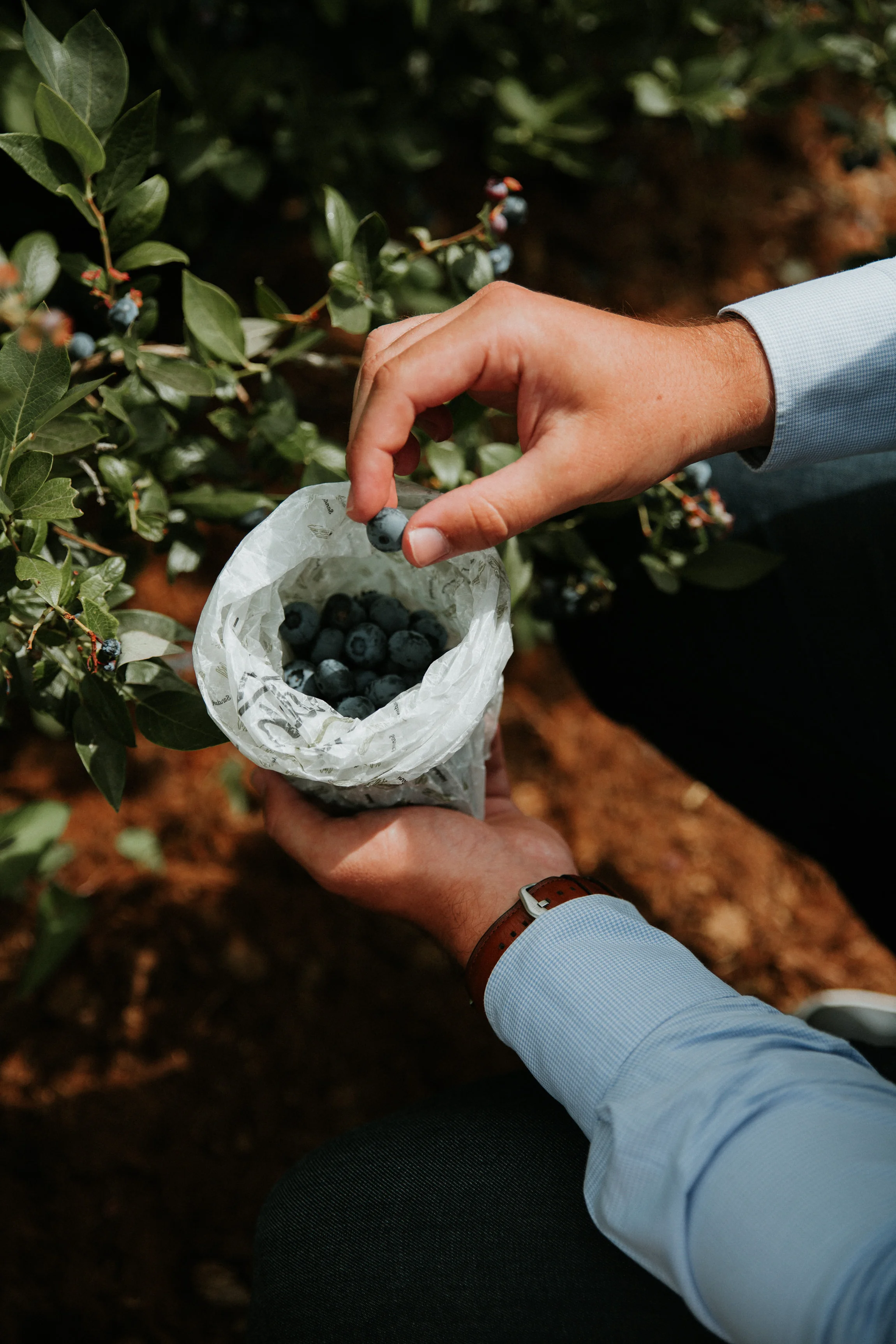  Yuri Andries Photography for Food Forest 