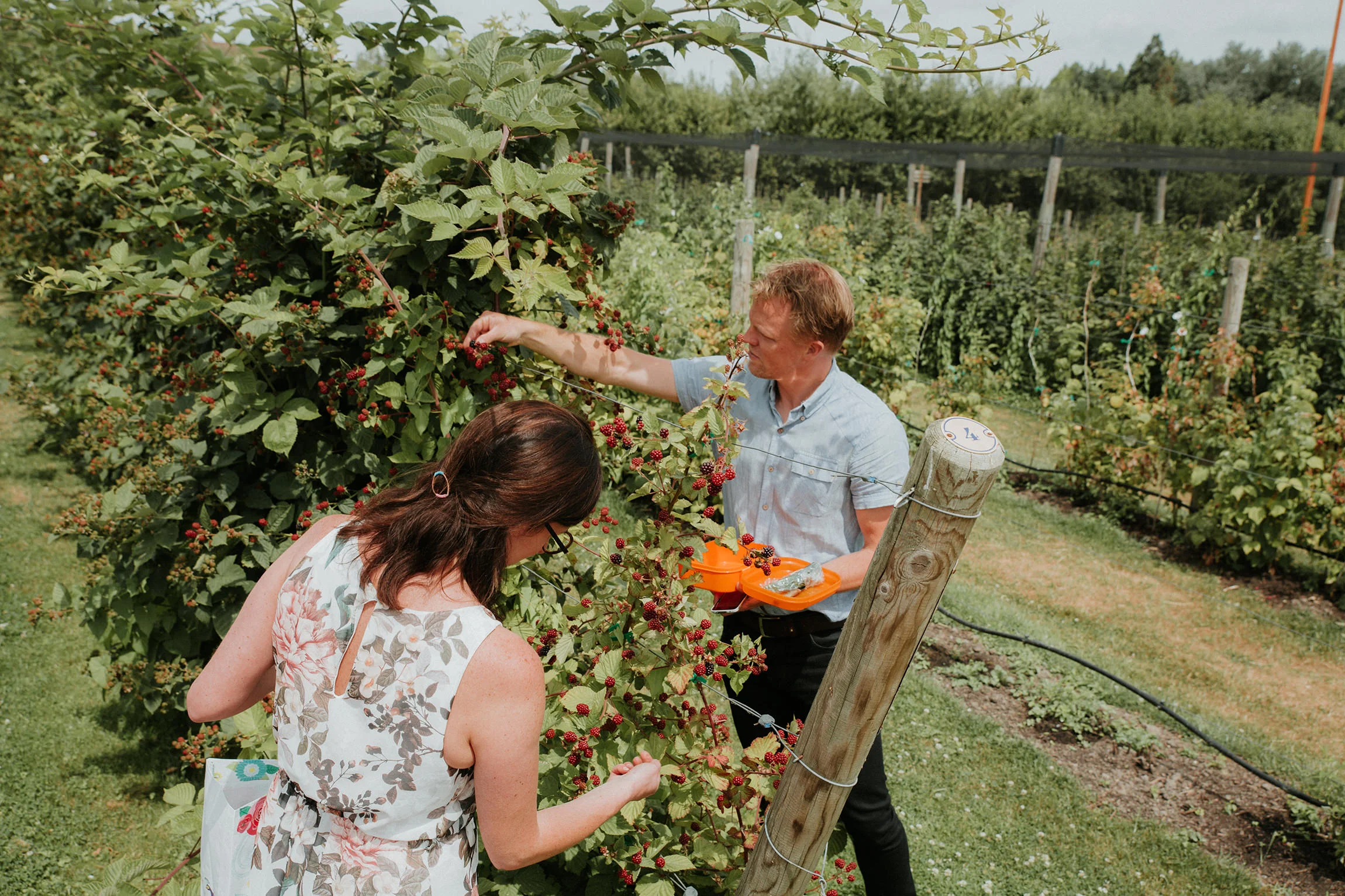  Yuri Andries Photography for Food Forest 